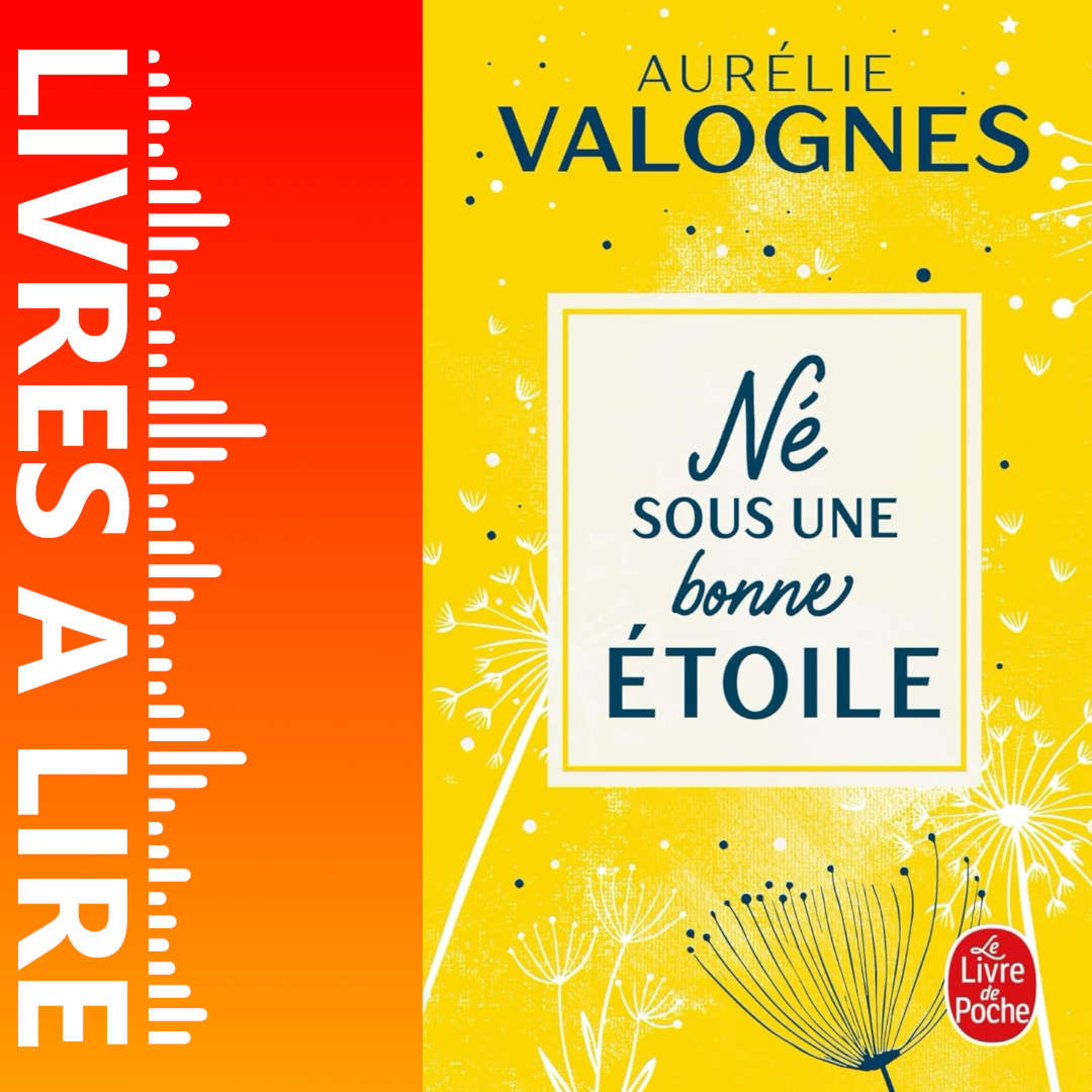 LIVRES A LIRE