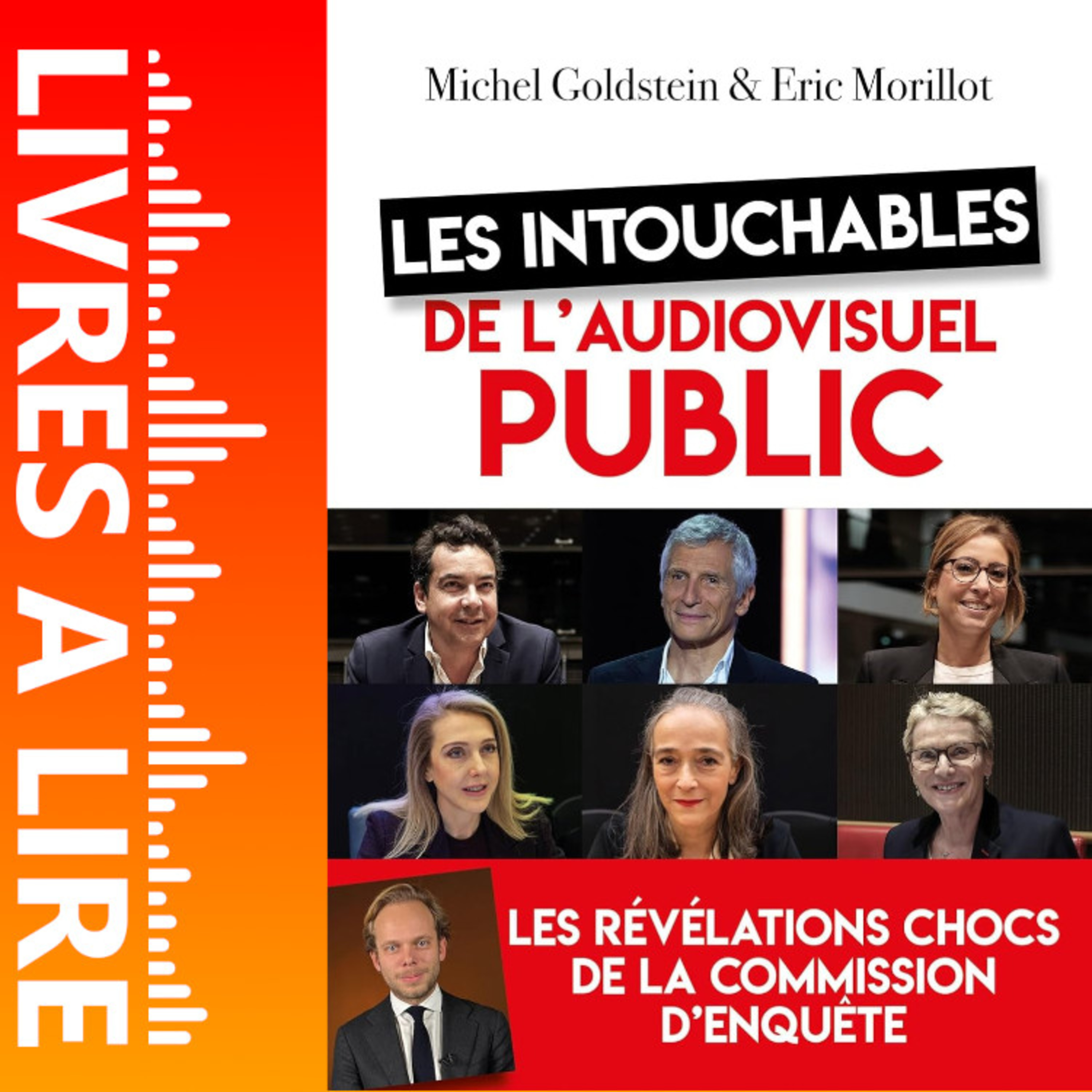 Les intouchables de l'audiovisuel public de Michel Goldstein - Le résumé du livre en 1 minute episode artwork