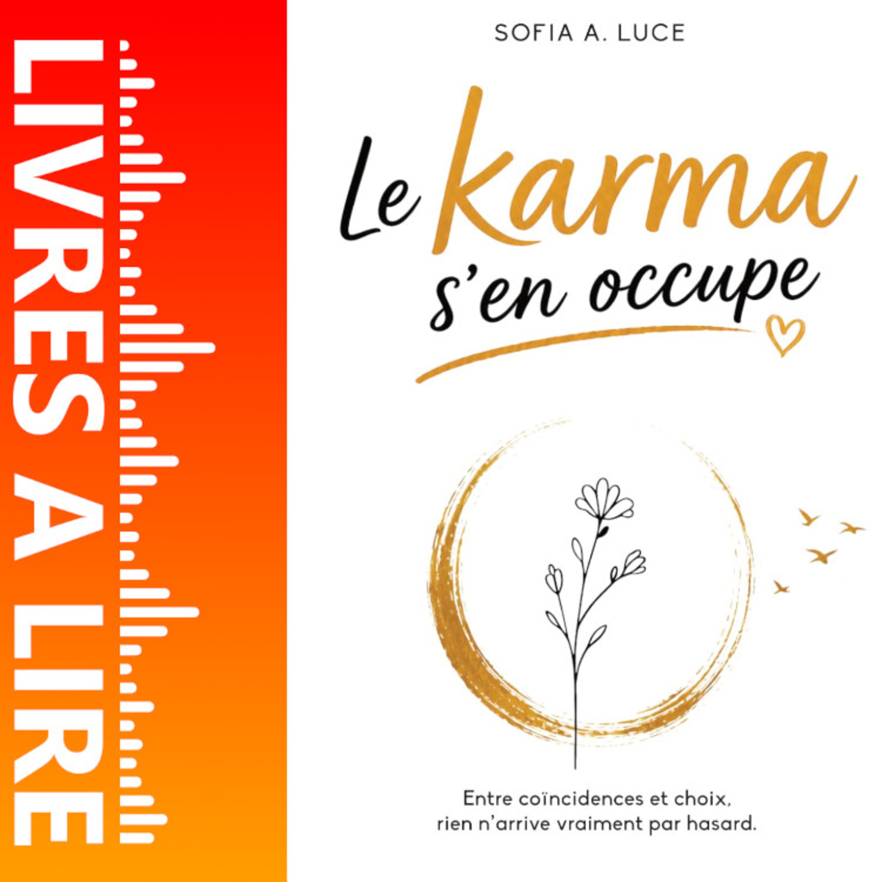 Le Karma S'en Occupe de Sofia A. Luce - Le résumé du livre en 1 minute episode artwork