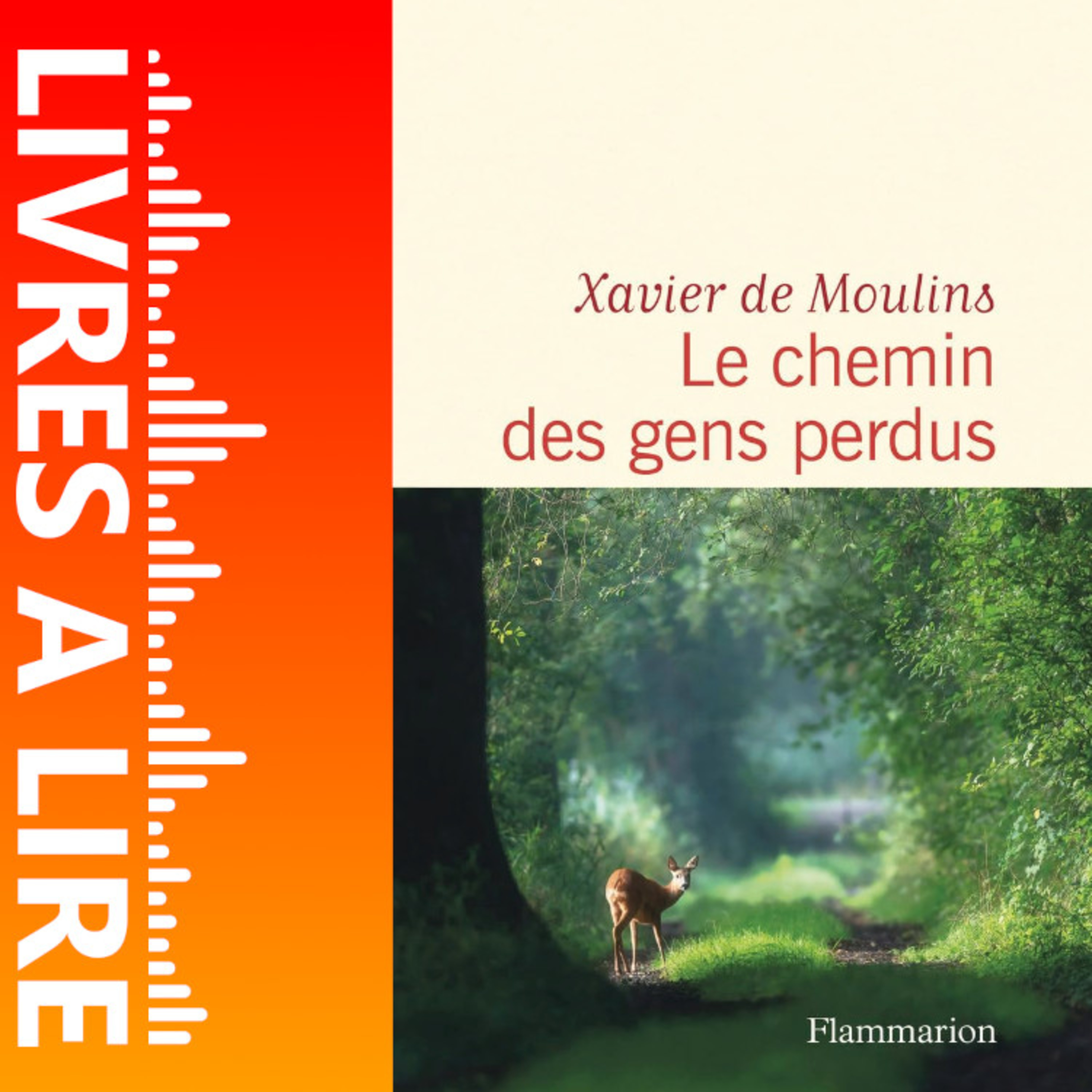 Le chemin des gens perdus de Xavier de Moulins - Le résumé du livre en 1 minute episode artwork