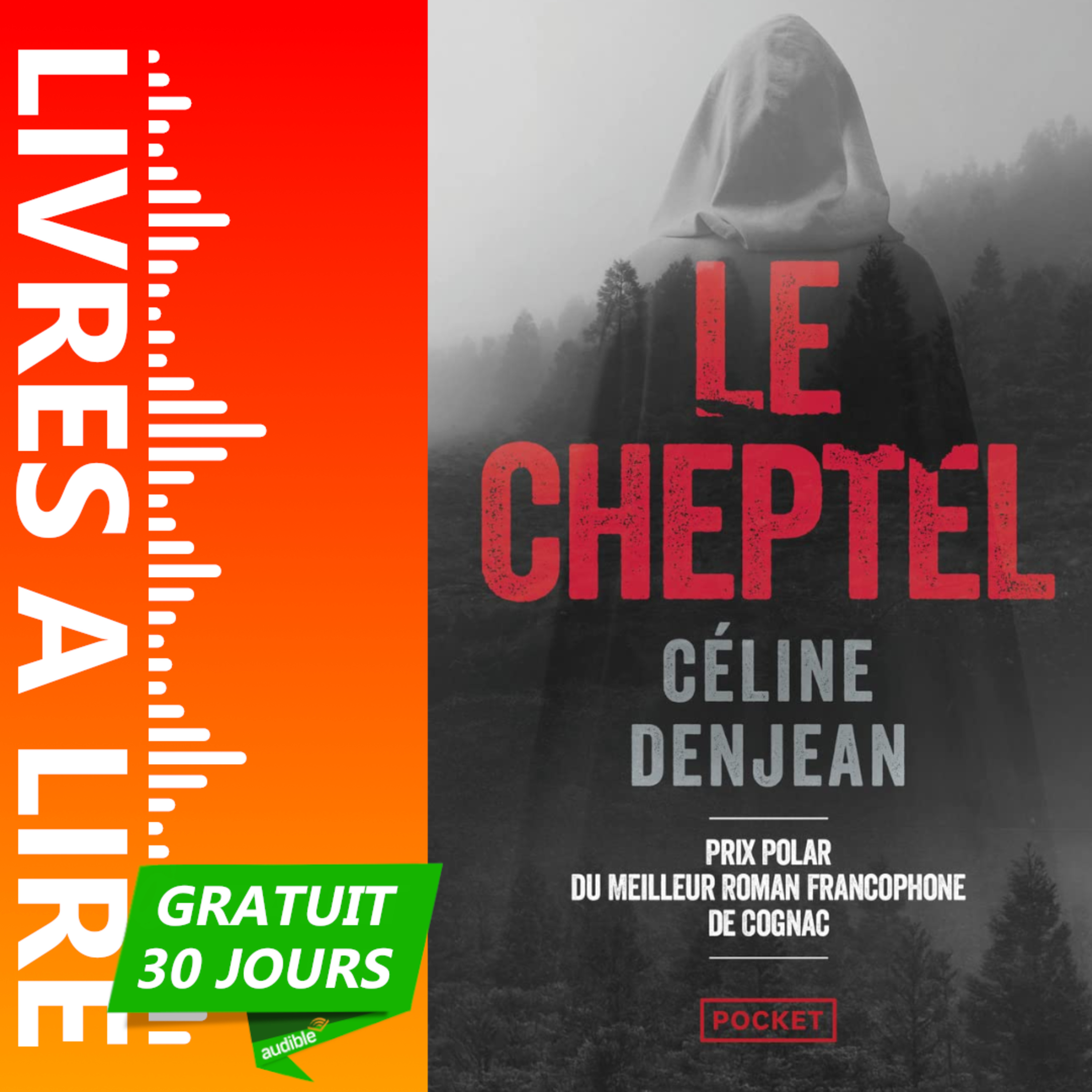Le Cheptel de Céline Denjean - Le résumé du livre en 1 minute episode artwork