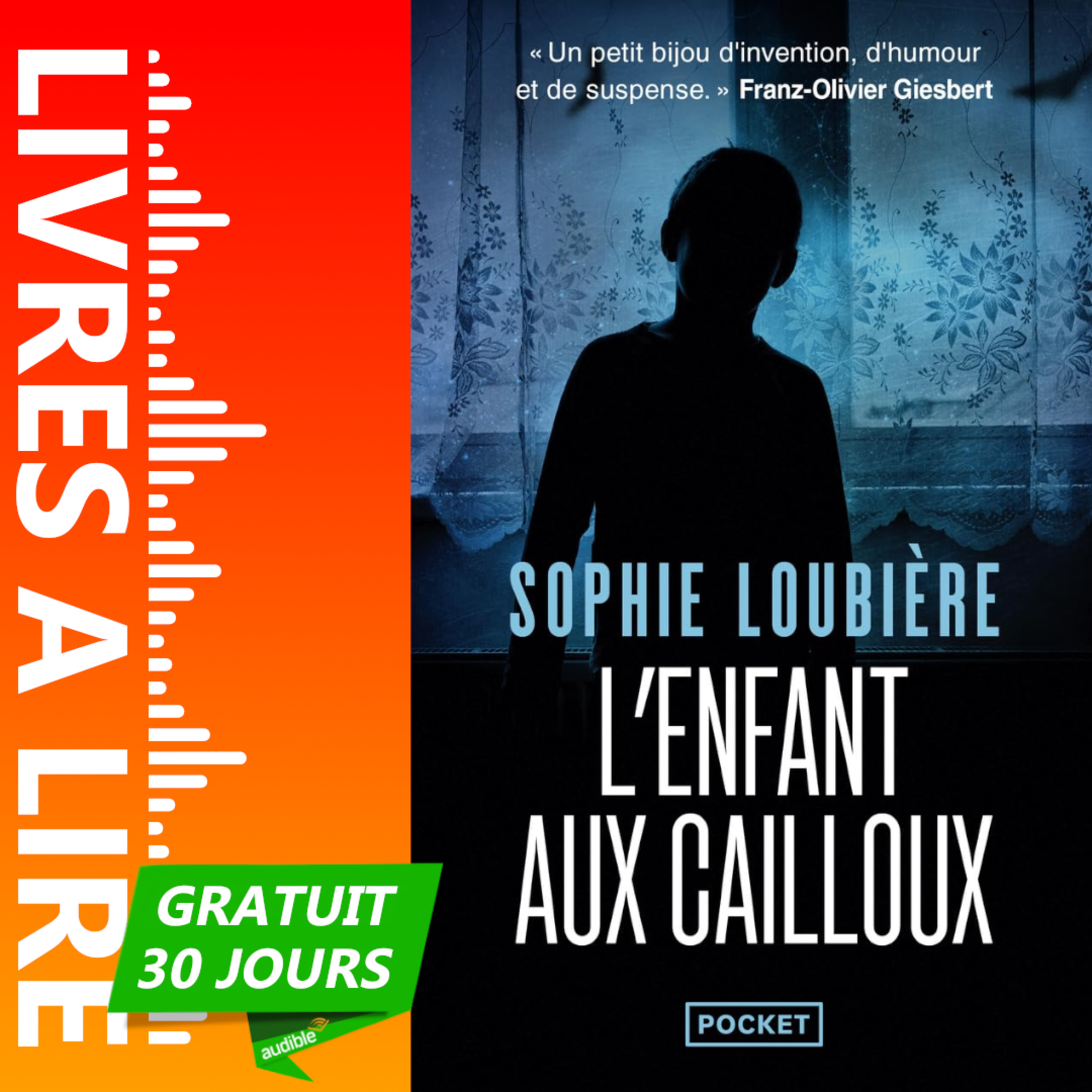 L'enfant aux cailloux de Sophie Loubière - Le résumé du livre en 1 minute episode artwork