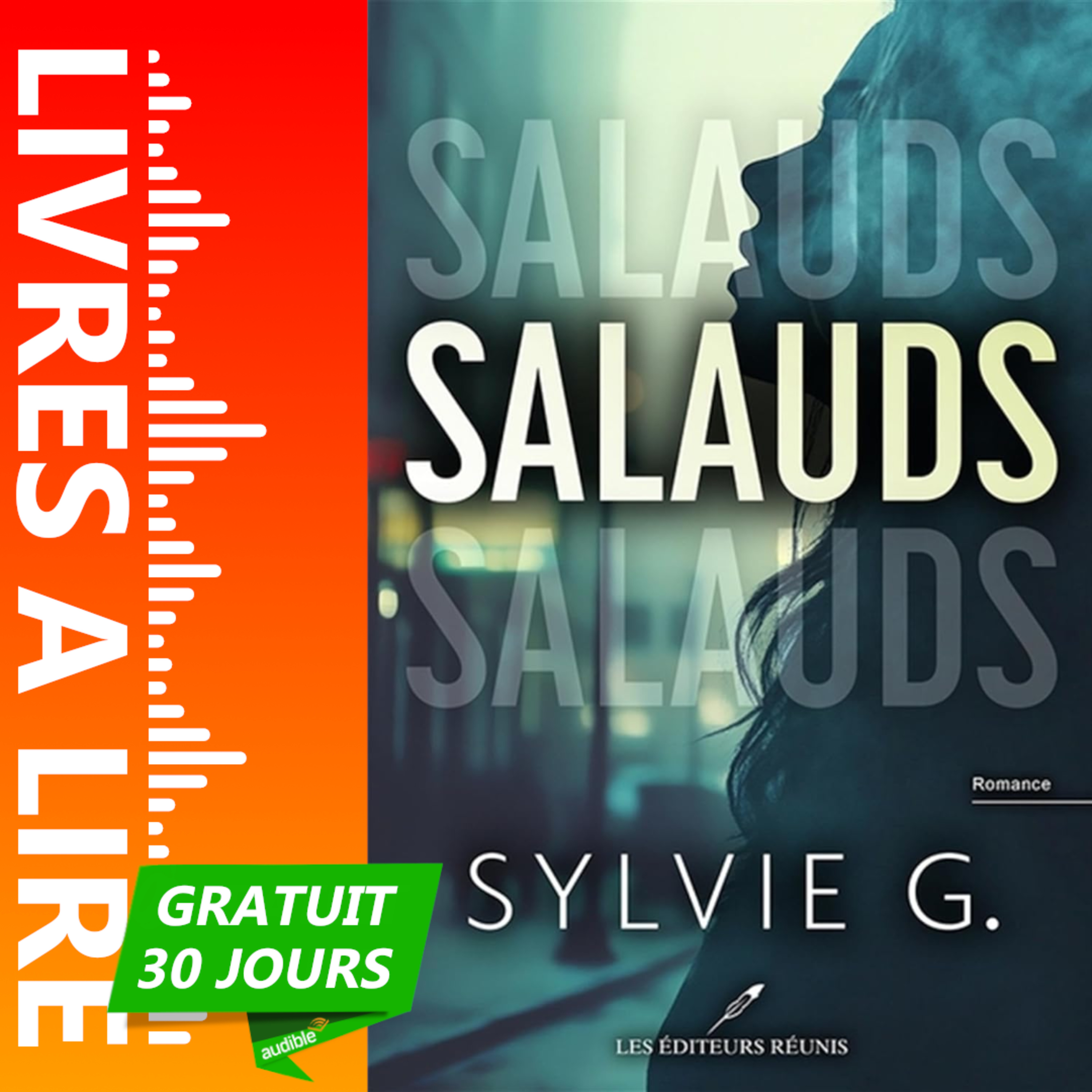 Salauds de Sylvie G - Le résumé du livre en 1 minute episode artwork