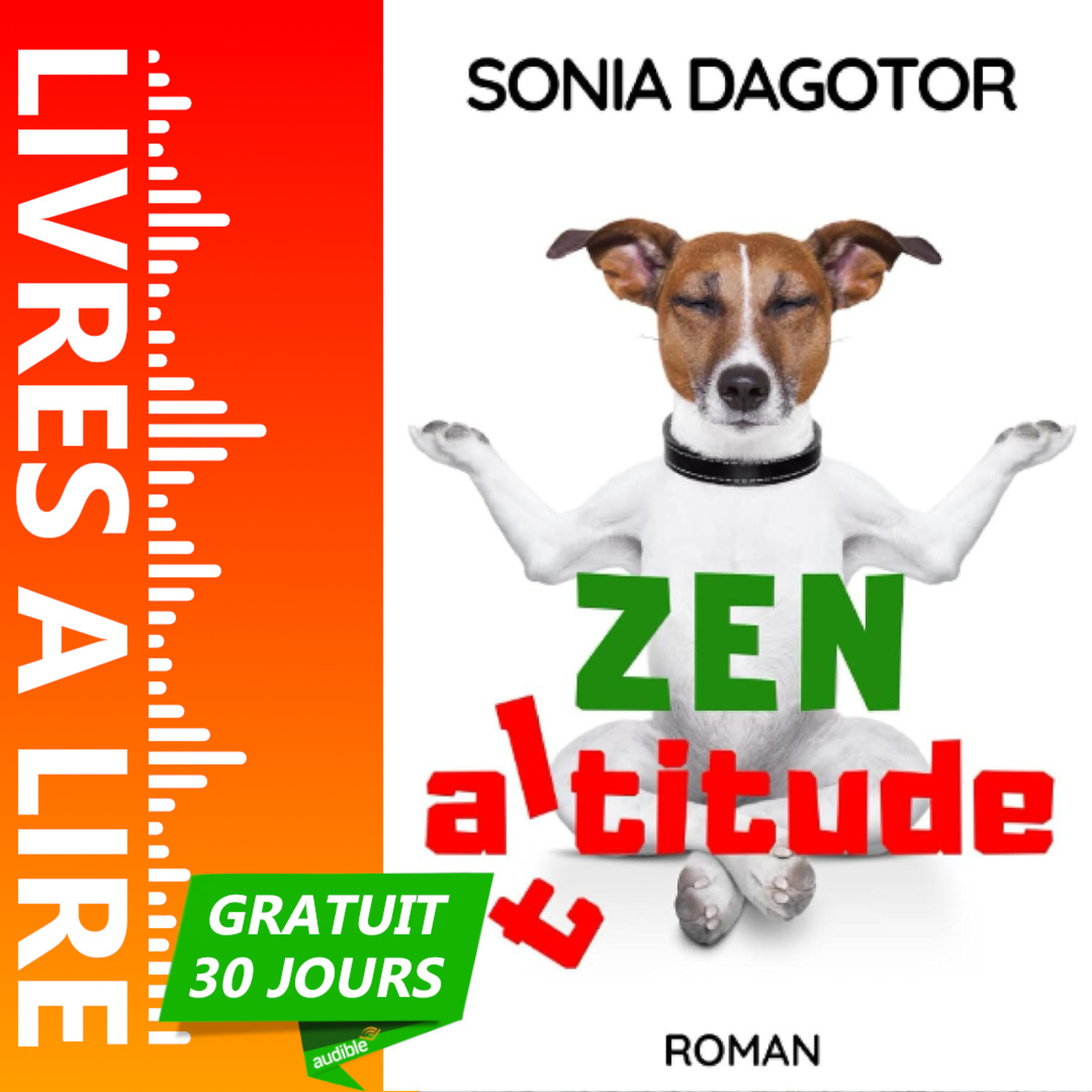 Zen Altitude de Sonia Dagotor - Livre Audio Gratuit 30 jours episode artwork