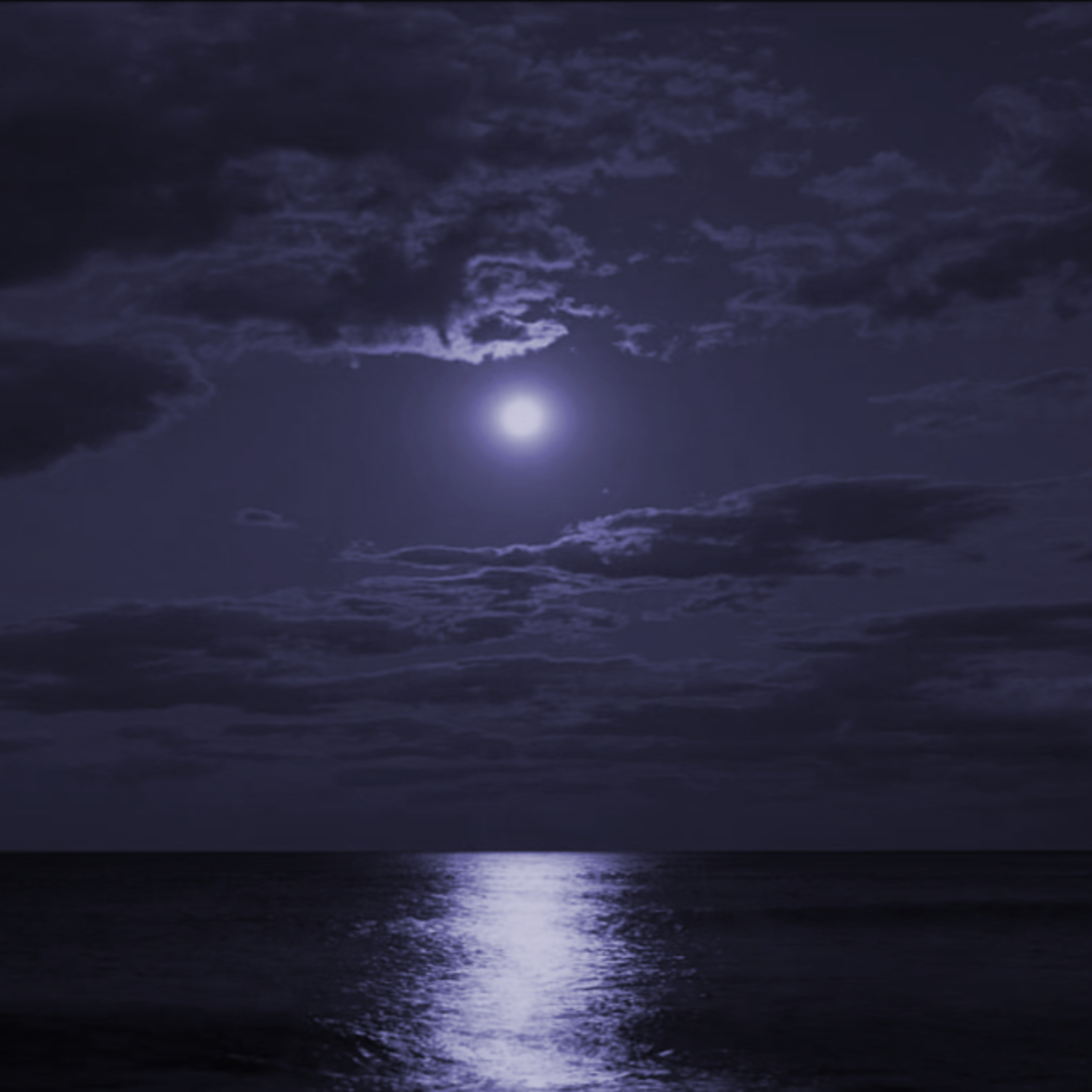 Wild Wisdom | The Pathway of Wonder and Awe