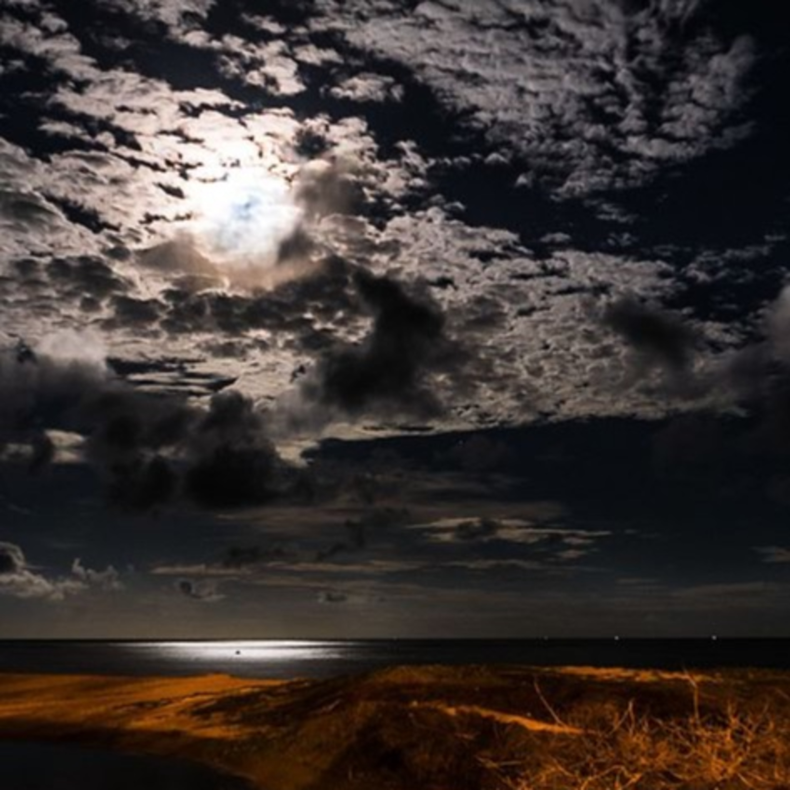 Wild Wisdom | The Pathway of Wonder and Awe