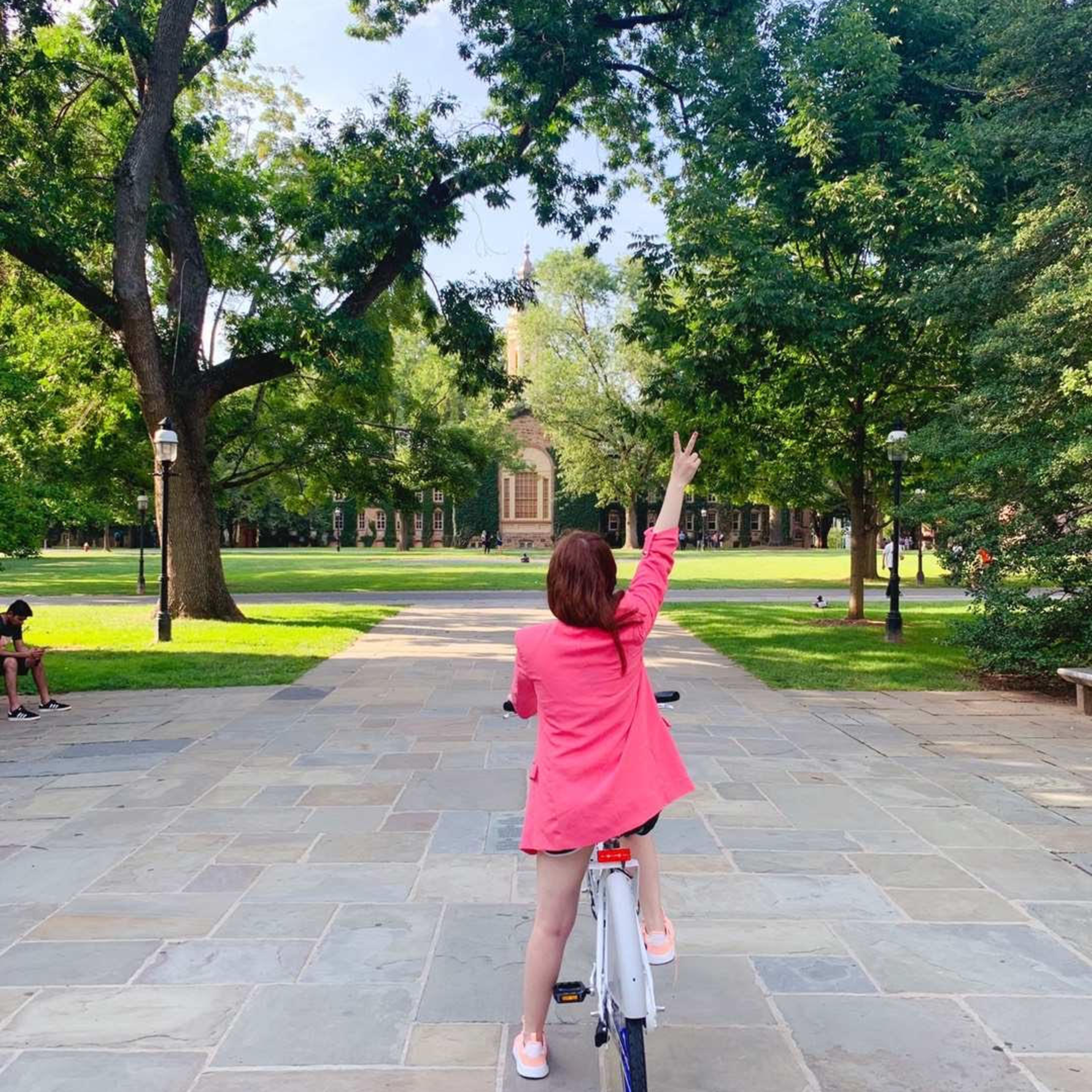 仙人掌与风 Cactus and Wind