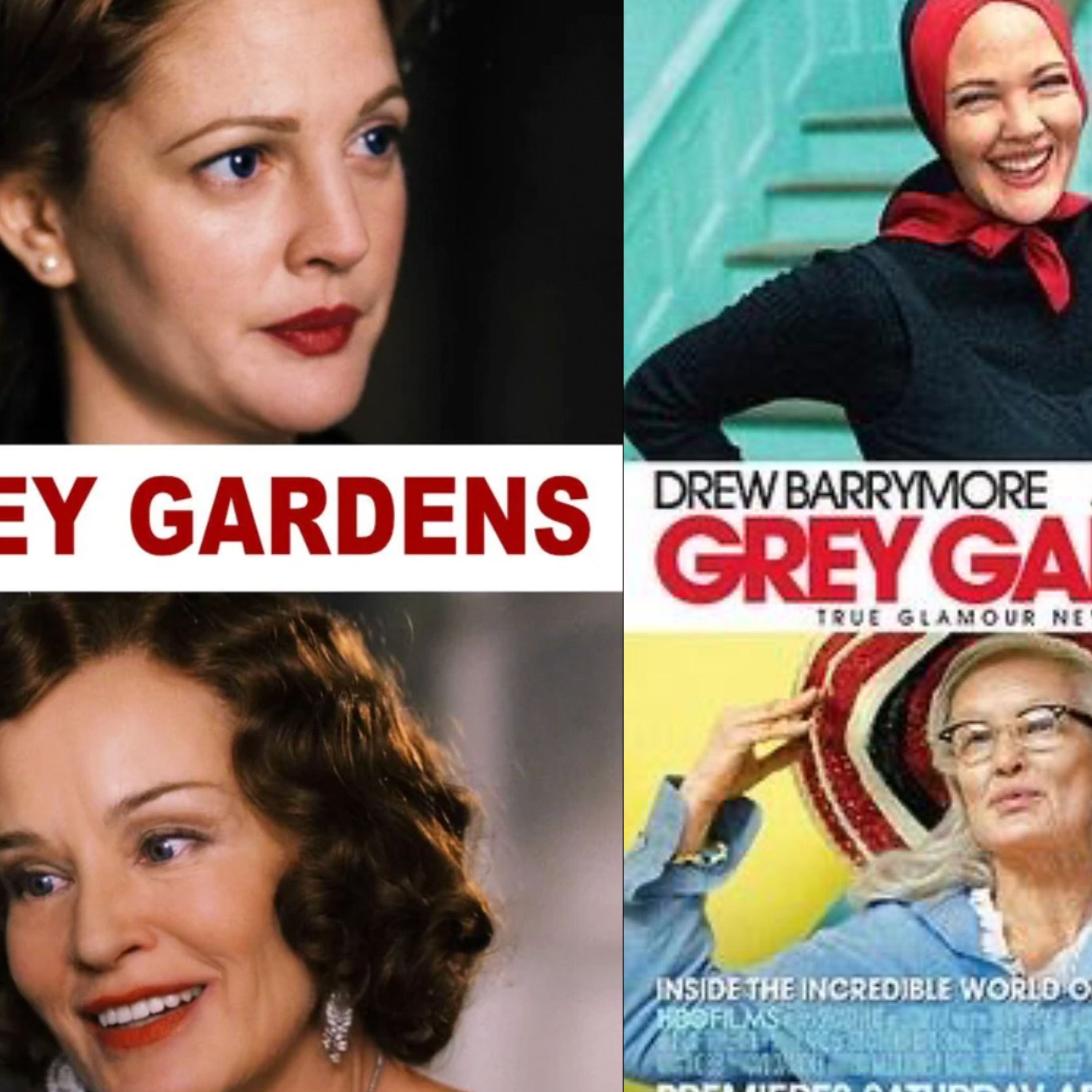 仙人掌与风 Cactus and Wind