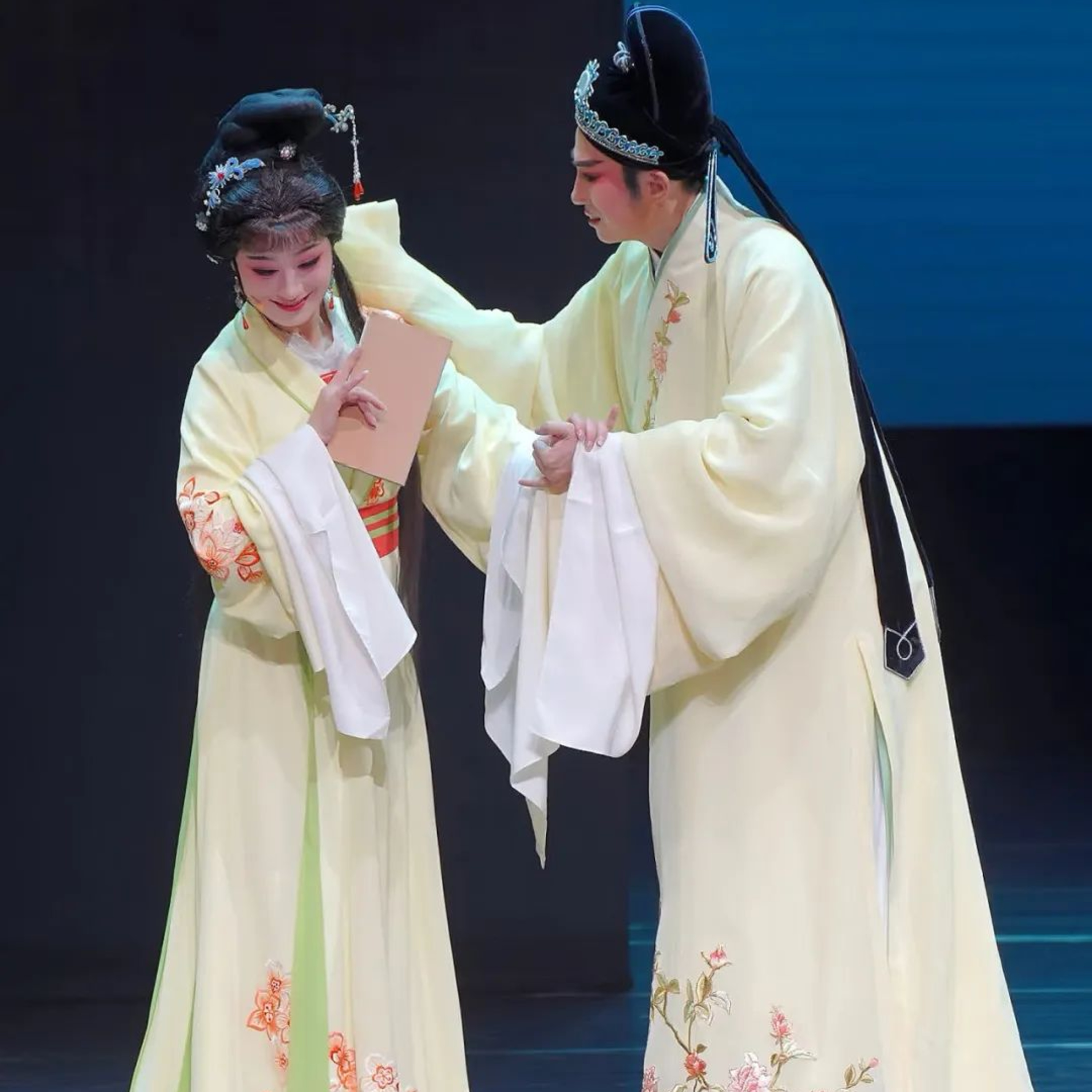 仙人掌与风 Cactus and Wind