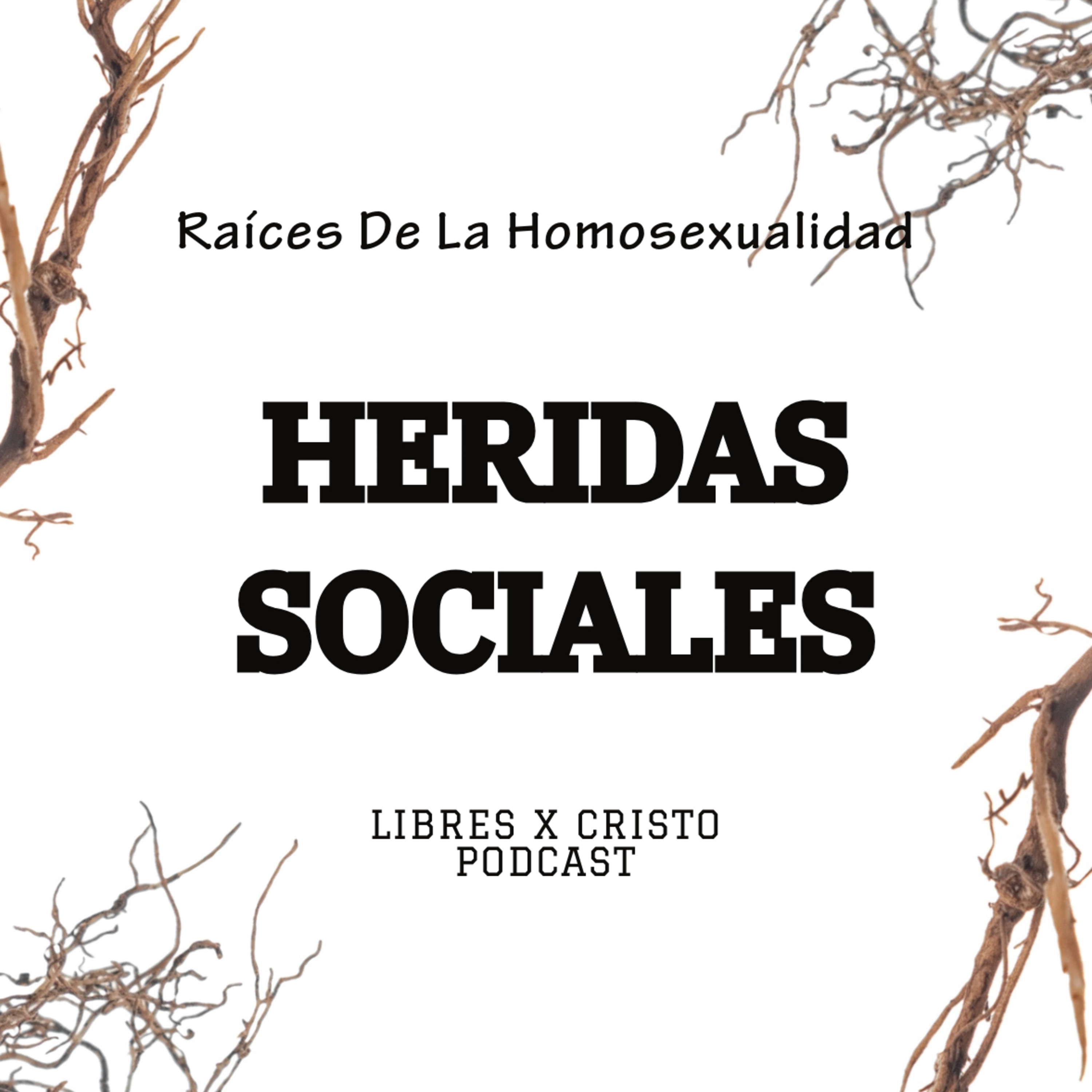 2x7 HERIDA SOCIAL  episode artwork
