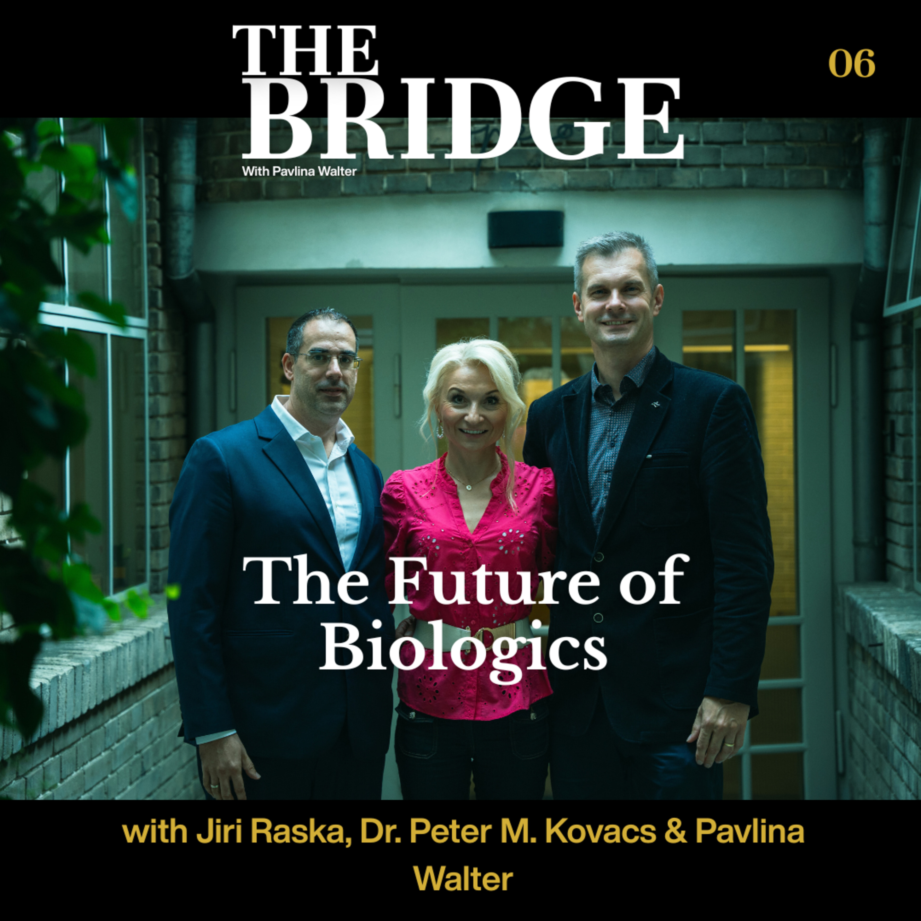 THE BRIDGE with Pavlina Walter