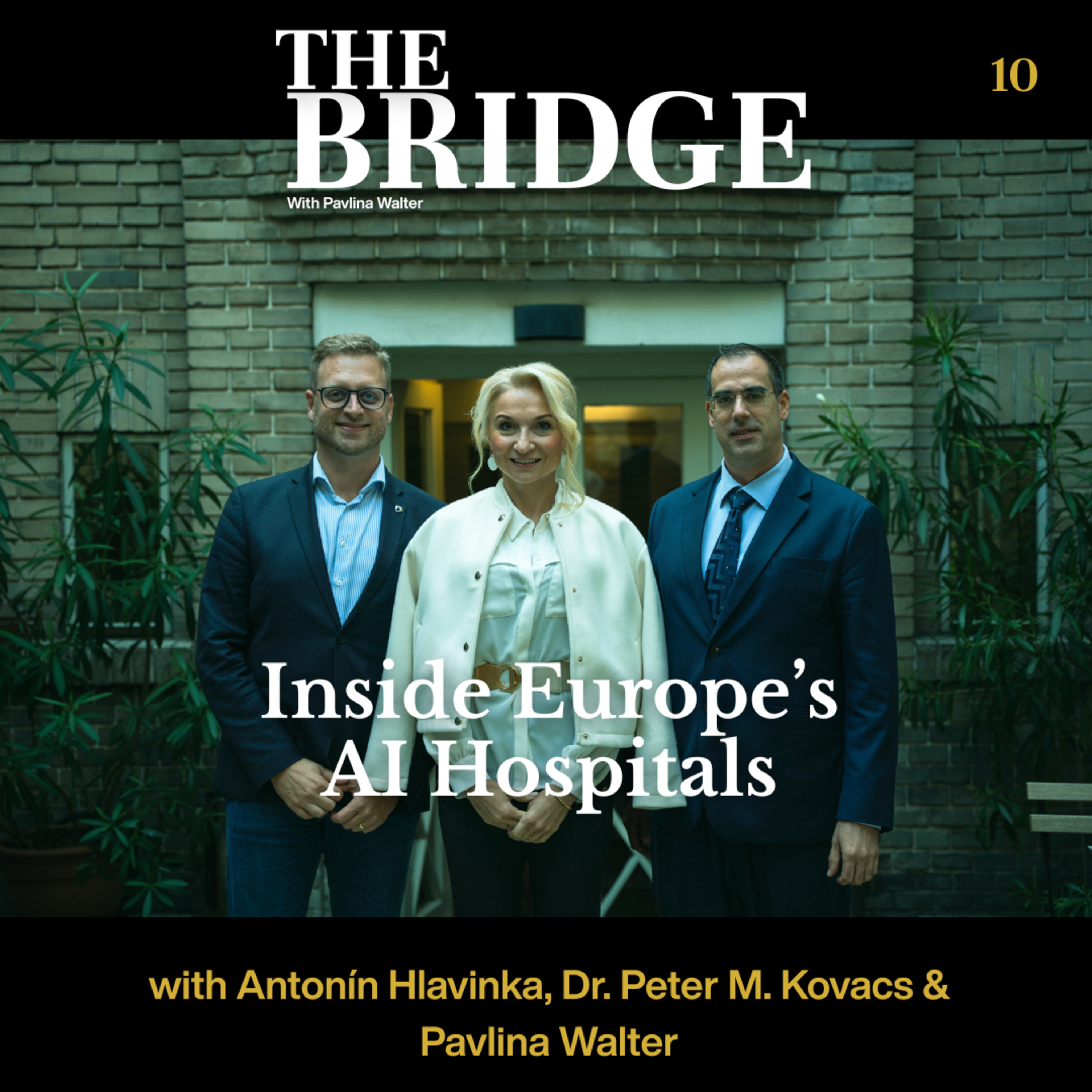 THE BRIDGE with Pavlina Walter