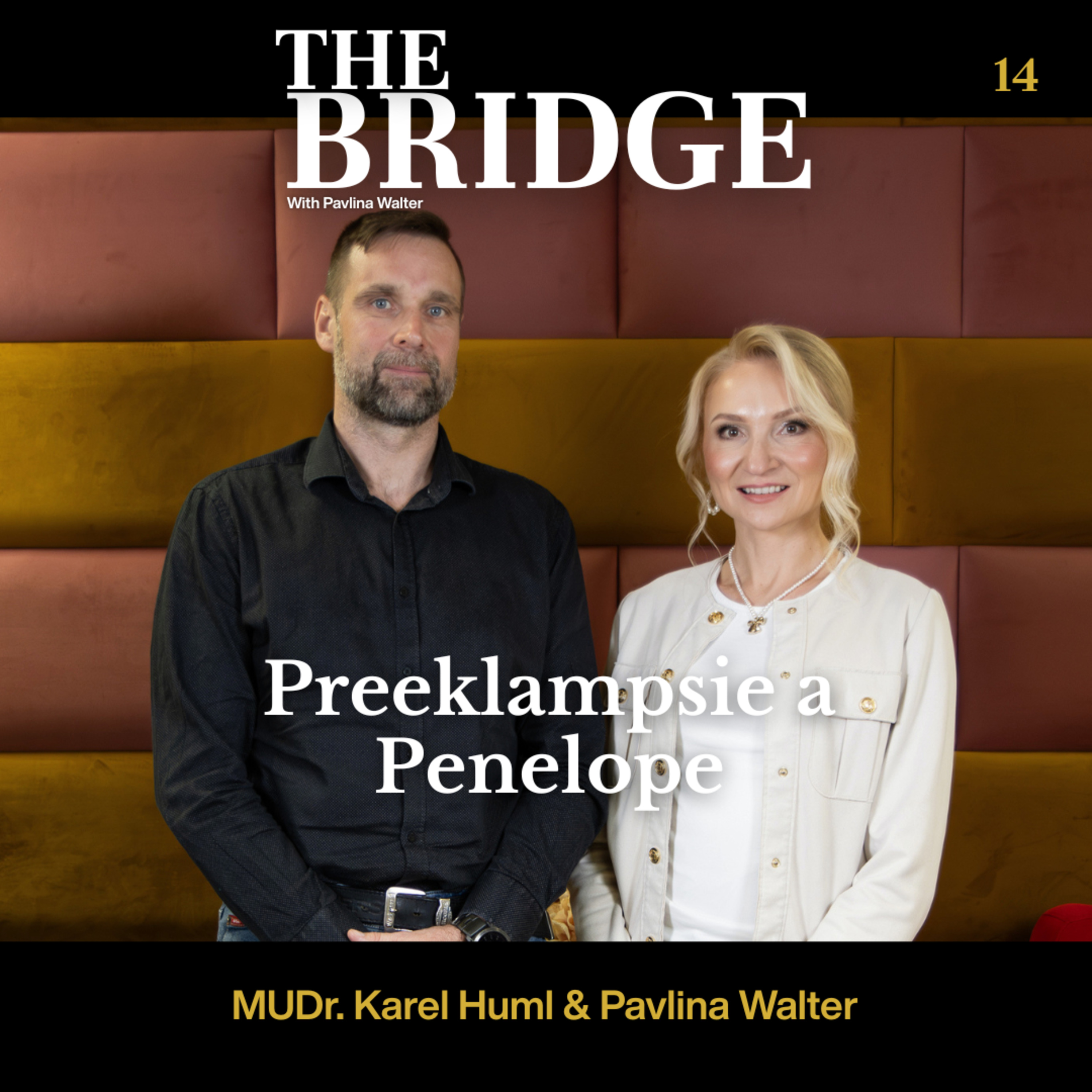 EP 14 - Preeklampsie a Penelope: Když Technologie Hlídá Tam, Kde Lékař Nemůže Být episode artwork
