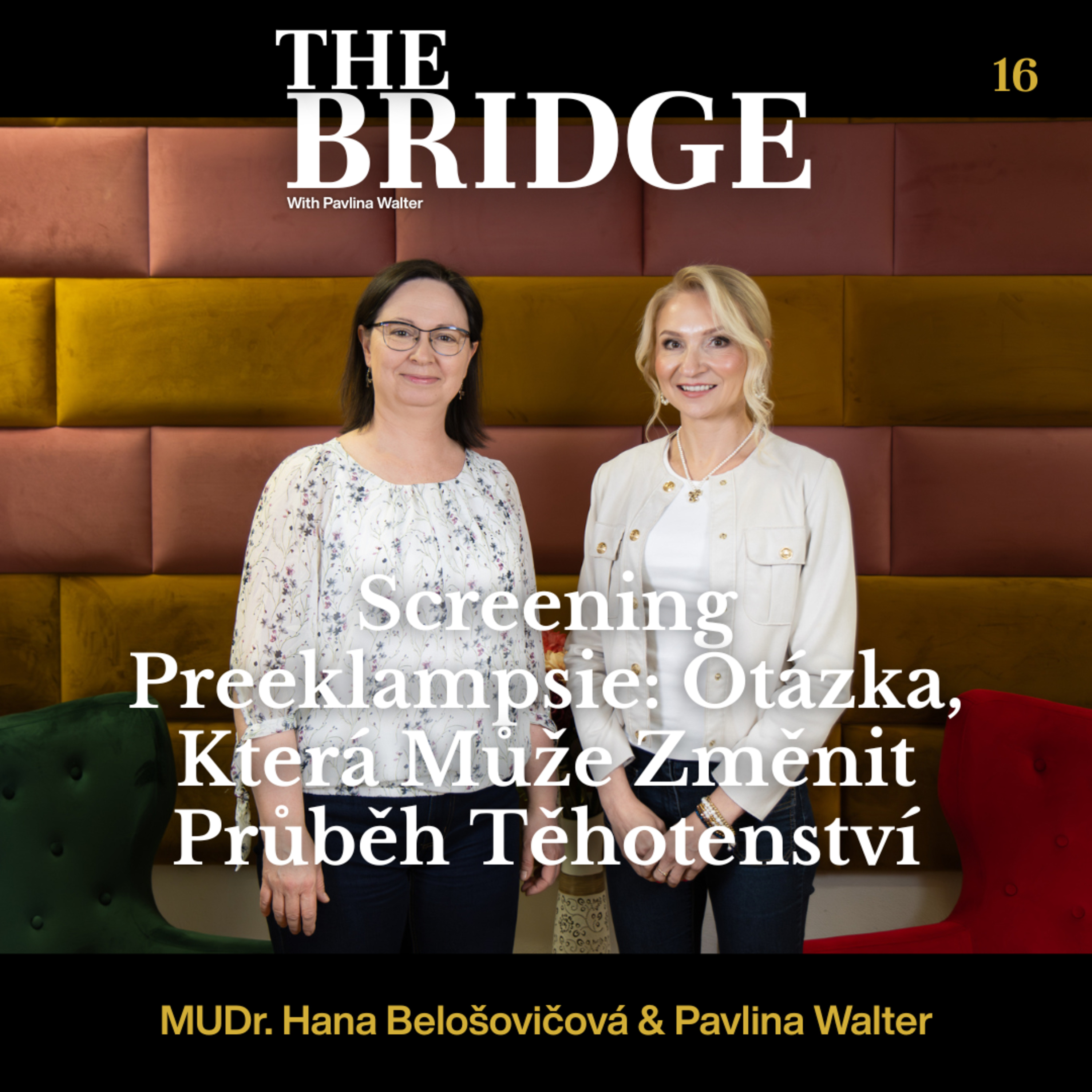EP 16 - Screening Preeklampsie: Otázka, Která Může Změnit Průběh Těhotenství episode artwork