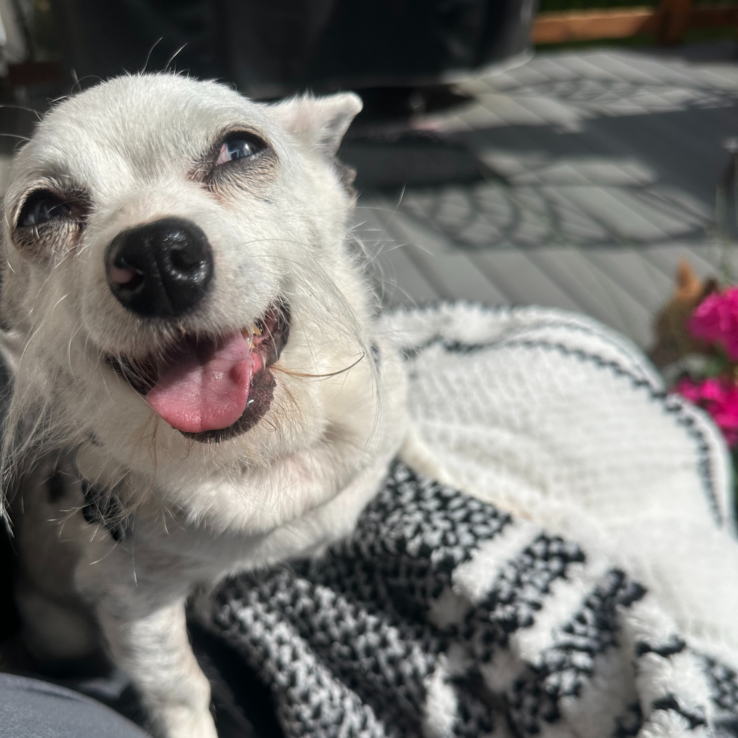 The Find Your Joy Pod