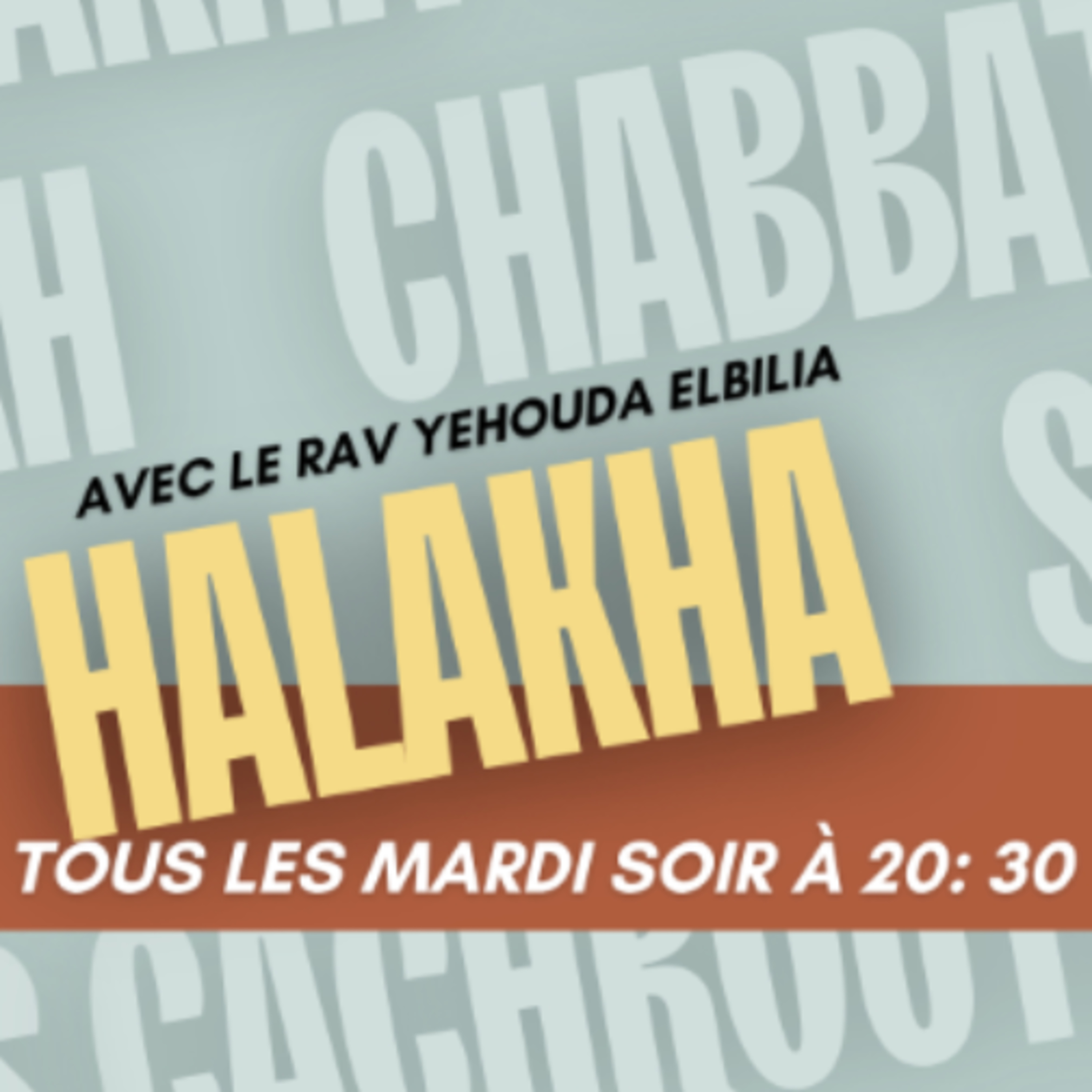 Diné Mamonot : Mauvais conseil, travail bâclé.. alors qui paie la facture ? episode artwork