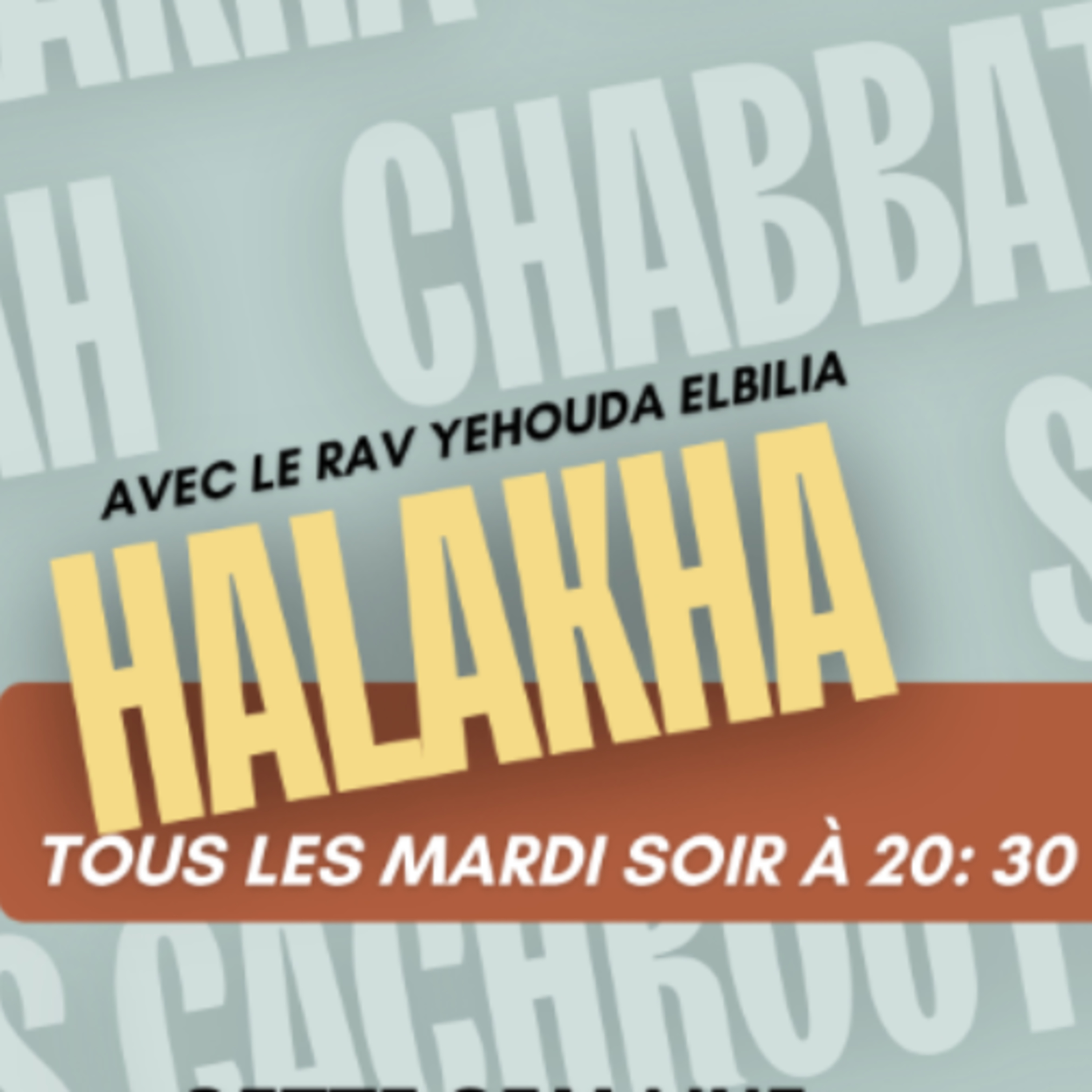Diné Mamonot ⚖️ n°4: Est-ce que la halakha autorise le squatte 🫣 episode artwork
