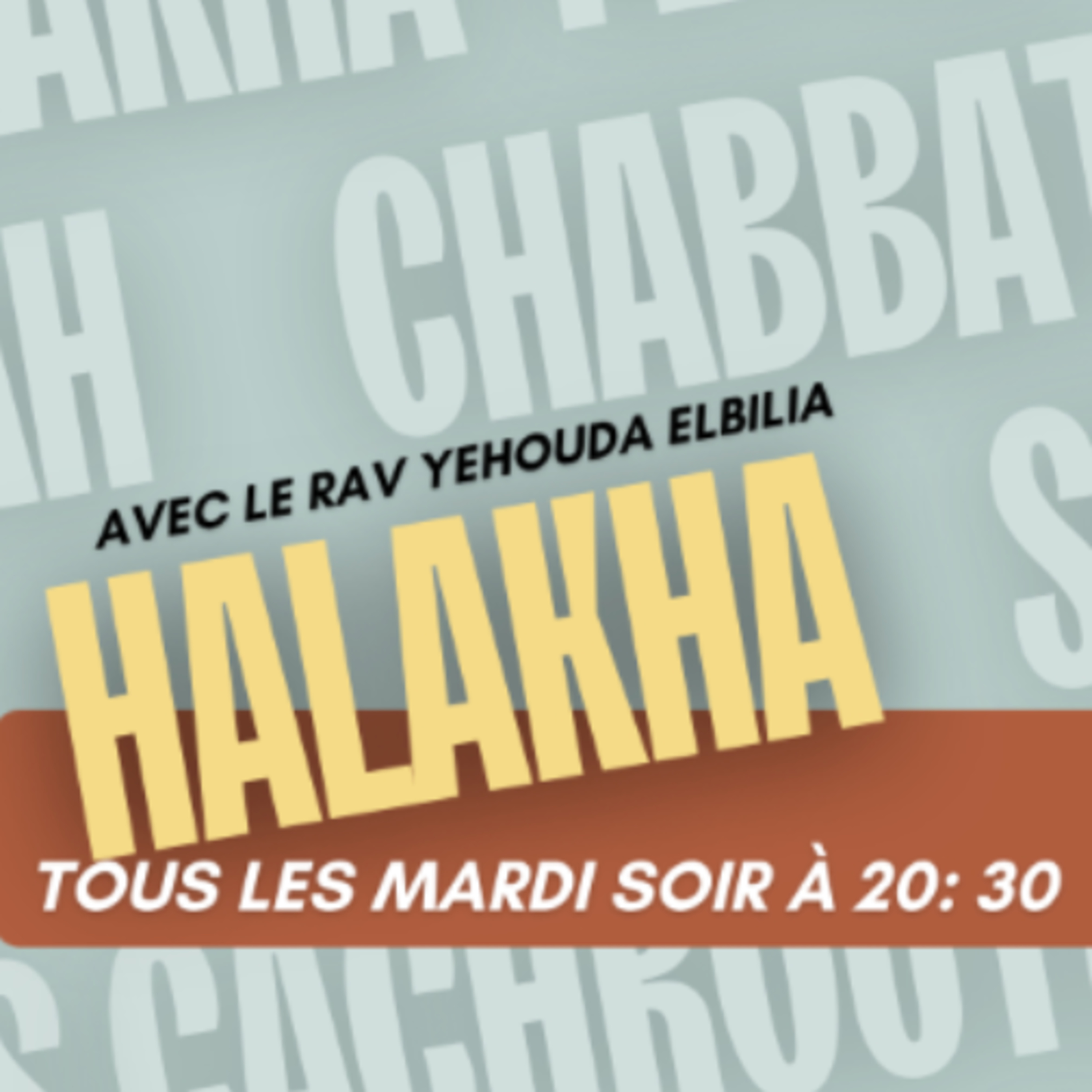 La Néchama et ses composantes : Les Cohanim et le pèlerinage sur les tombes des tsadikim episode artwork