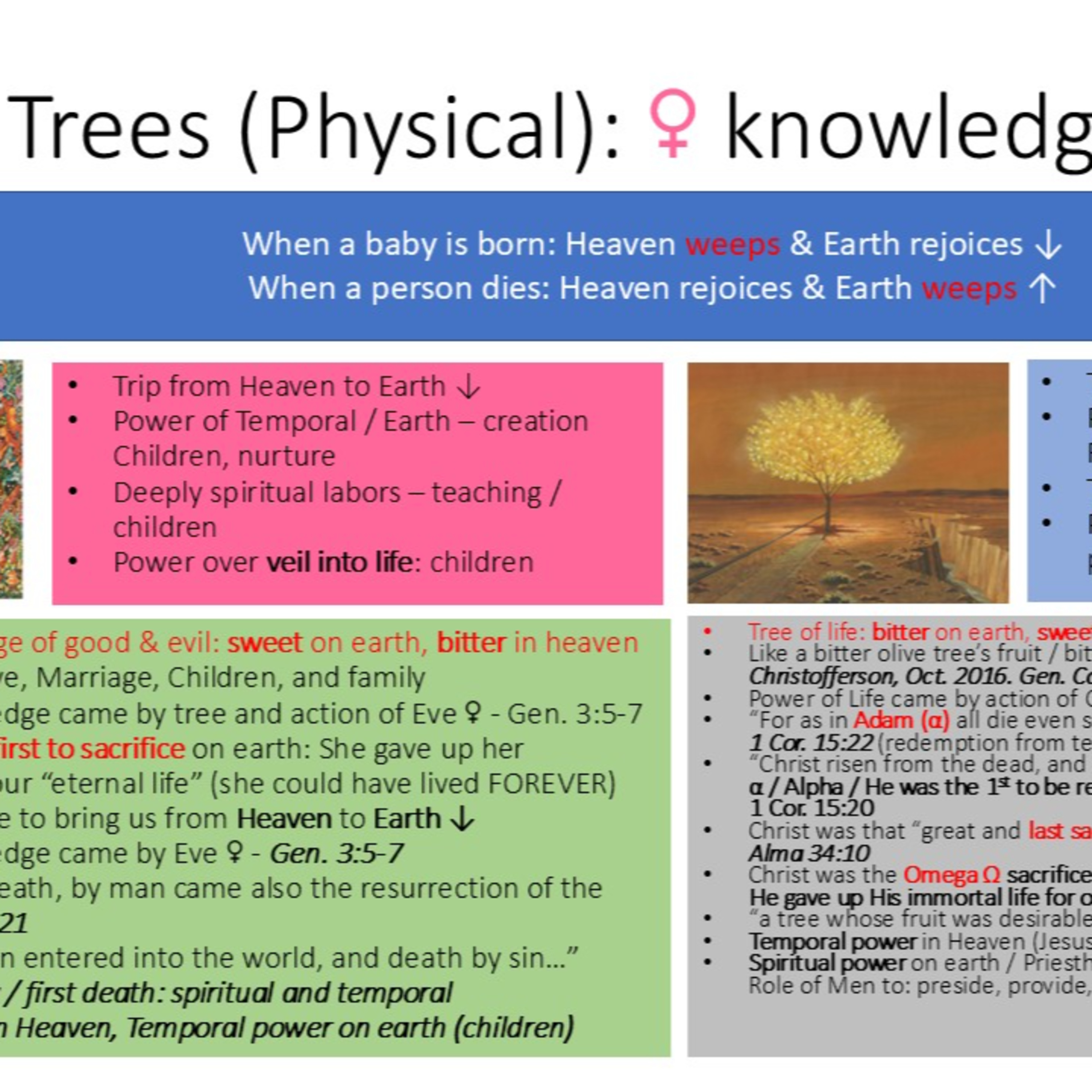 Video # 5b - Two Trees: Knowledge of Good & Evil & Tree of Life - Part 1 of 3 episode artwork