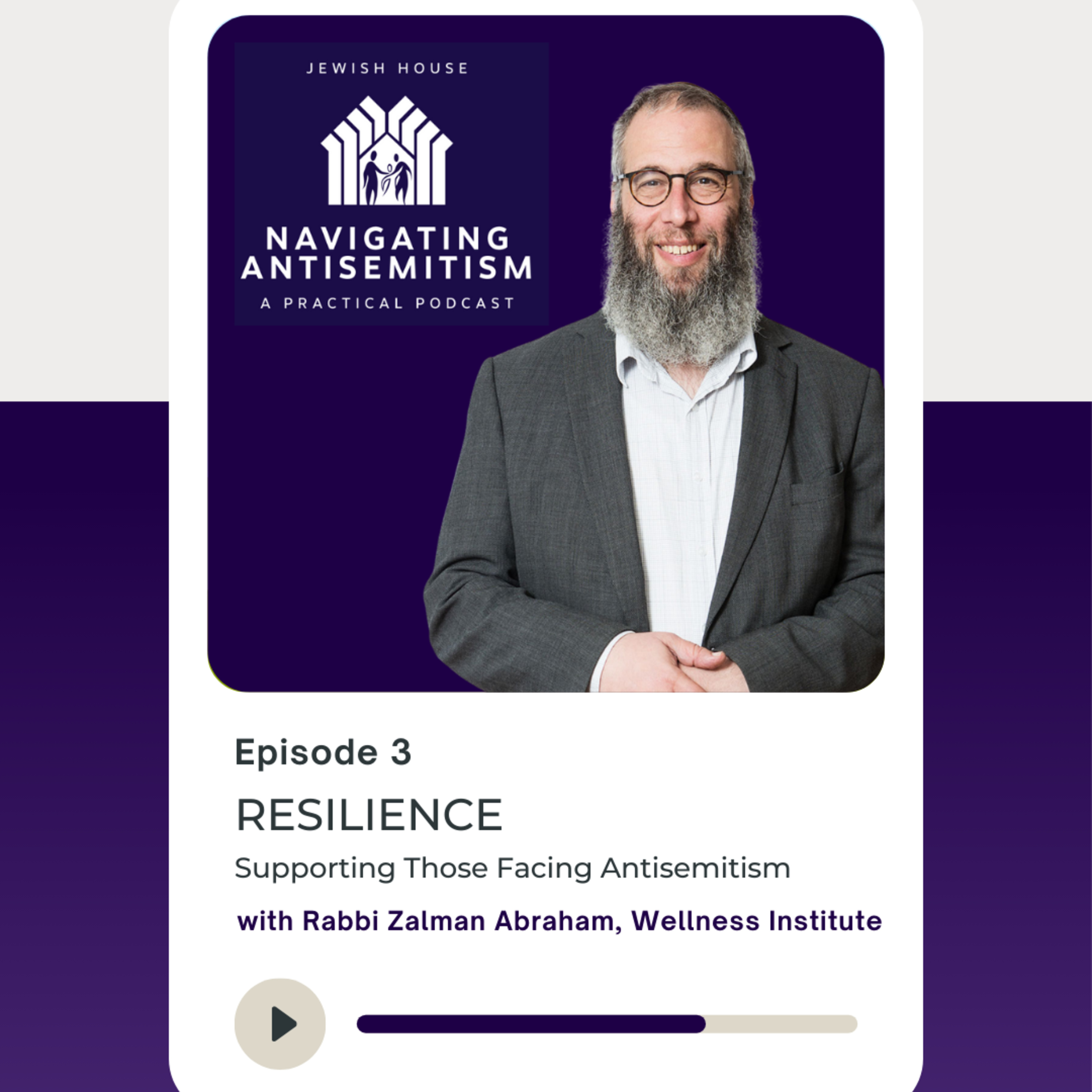 Resilience with Rabbi Zalman Abraham, Wellness Institute episode artwork