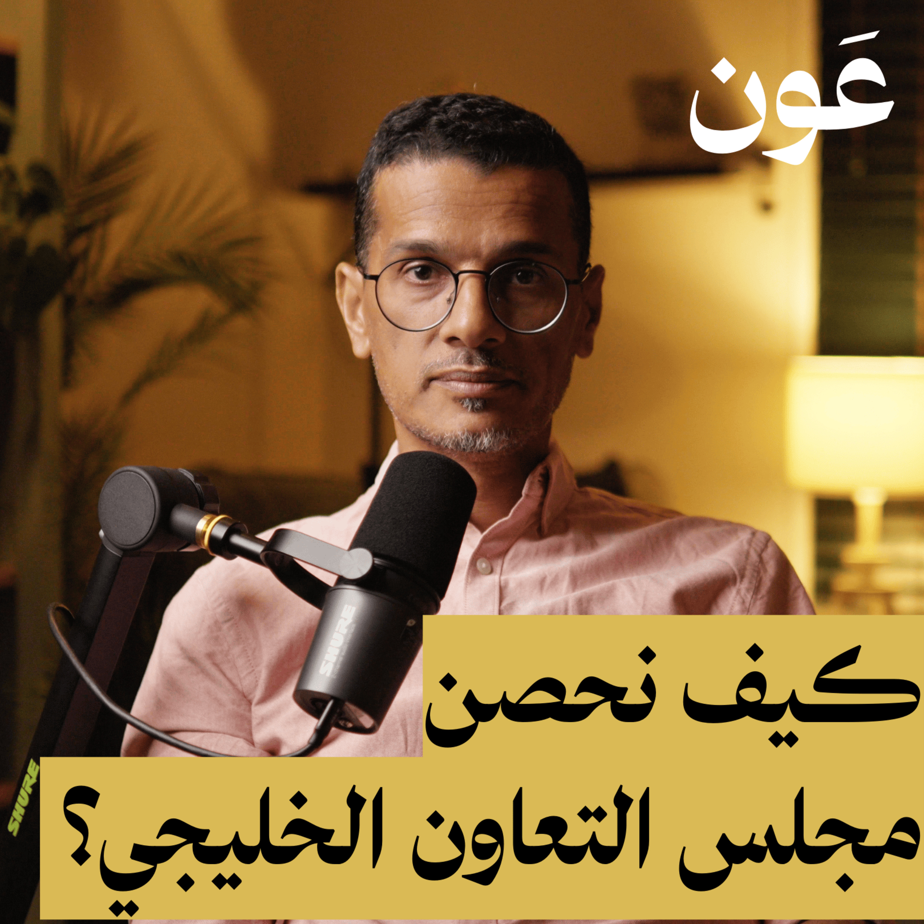 كيف نحصن دول مجلس التعاون ضد أي خطر