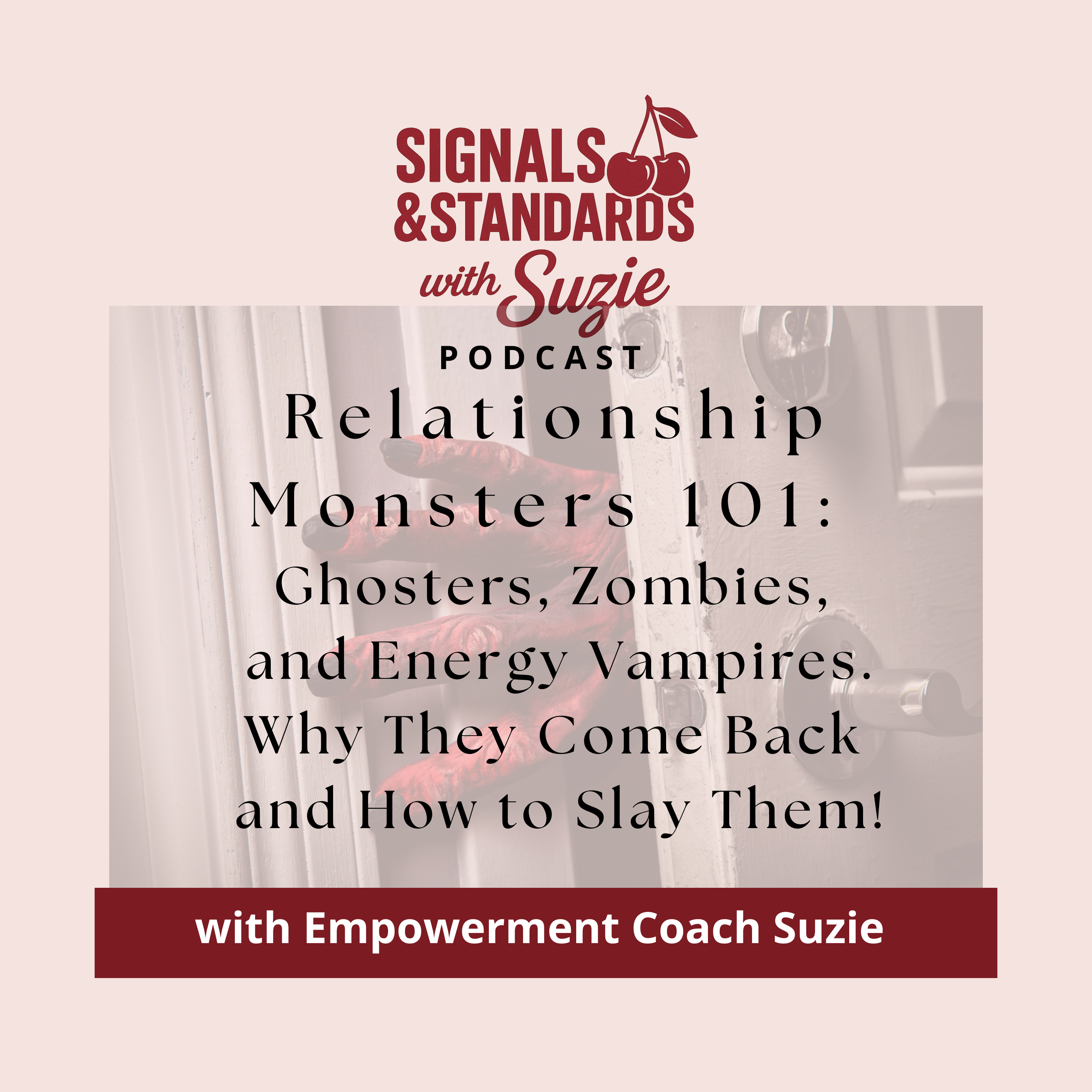 Signals and Standards with Suzie