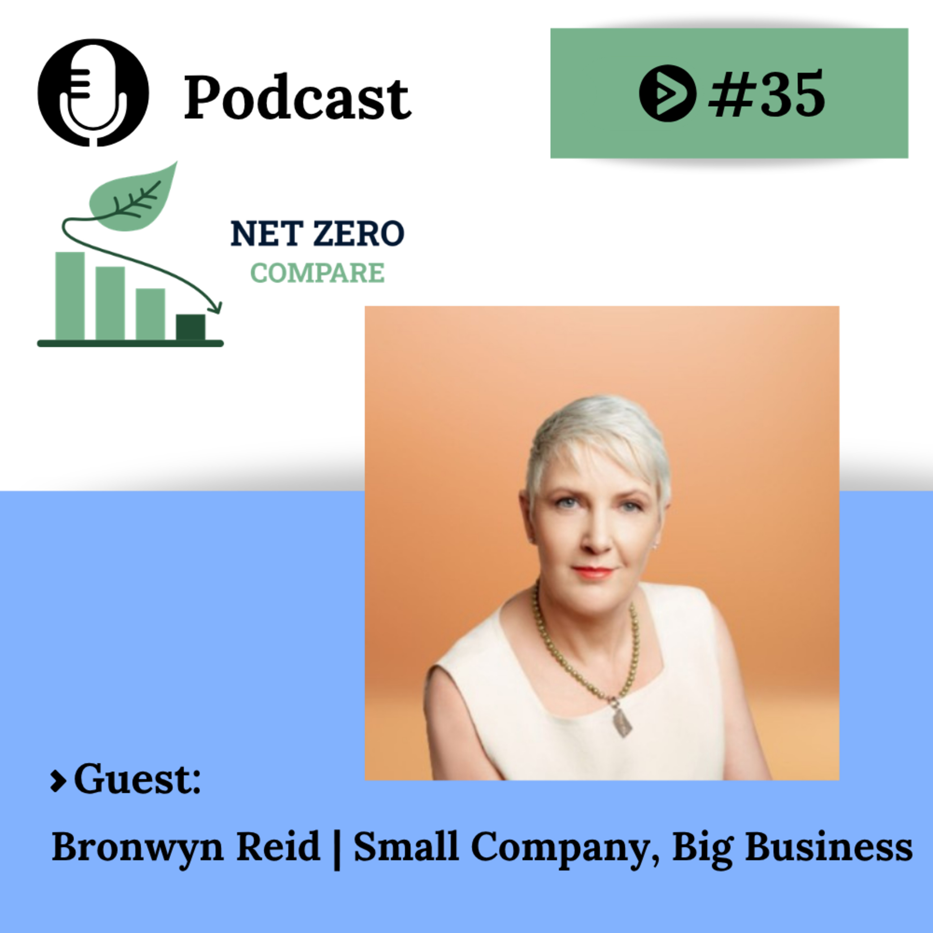Bronwyn Reid on Why ESG Strategies Break Down in Practice and What Companies Can Do About It episode artwork