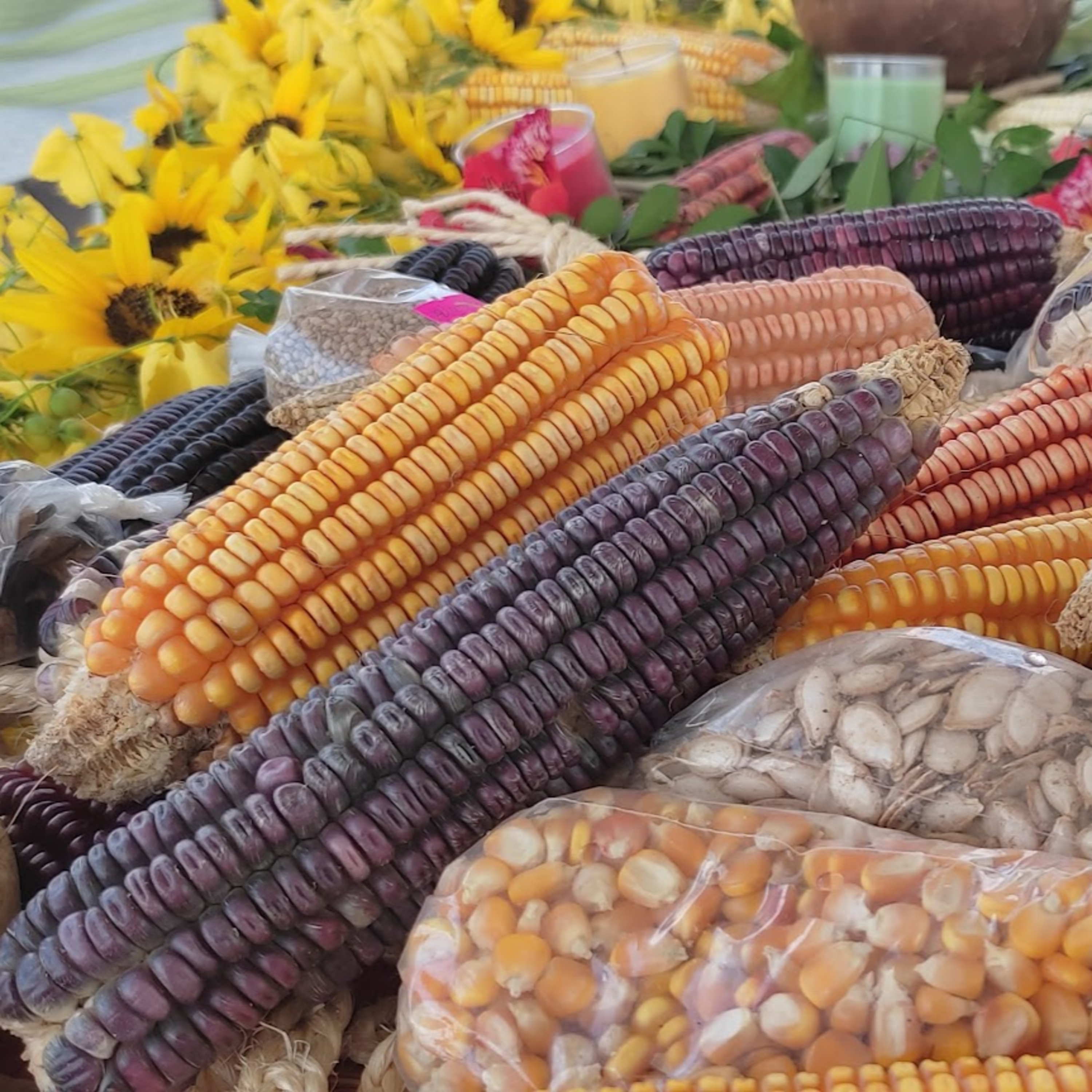 Libros para amar la tierra