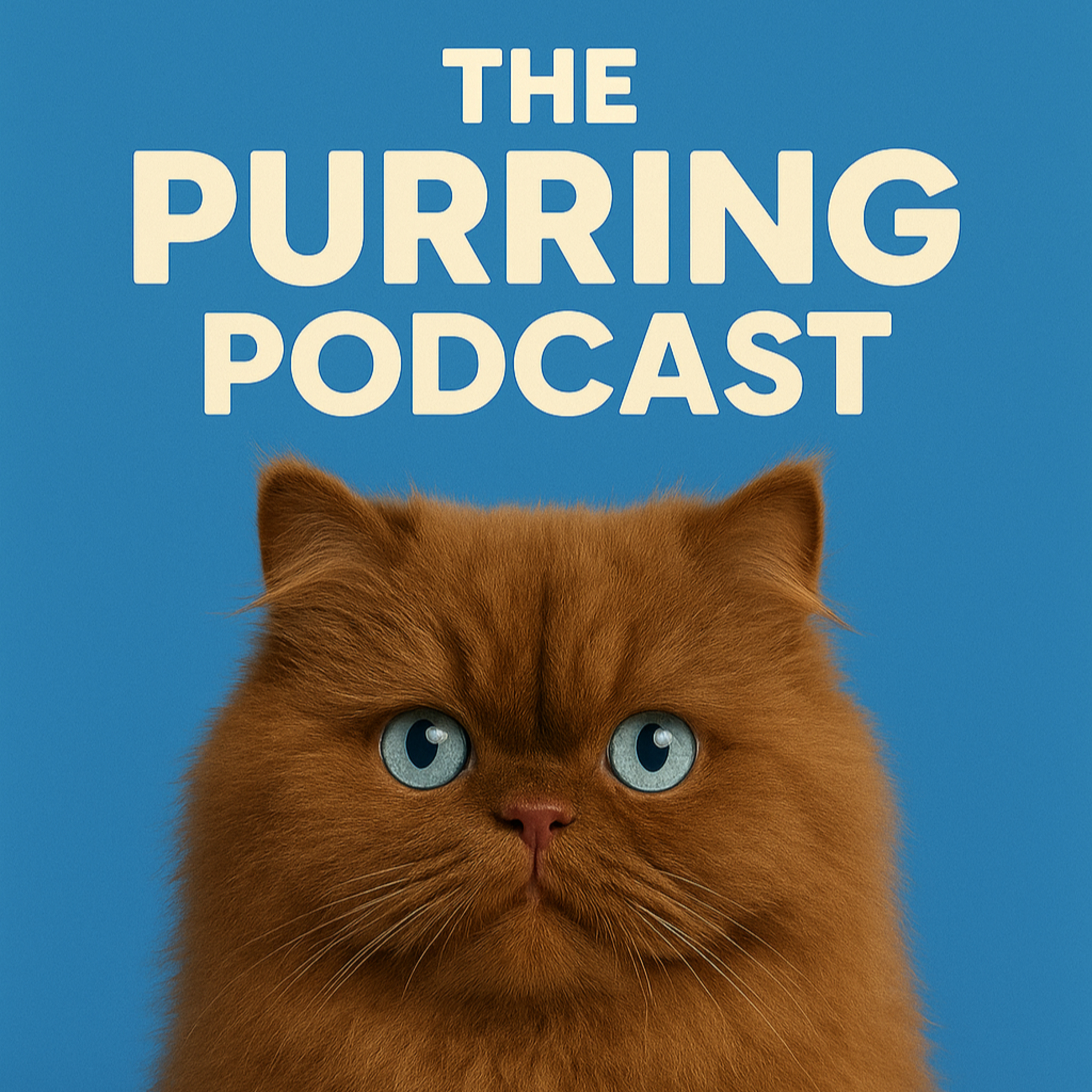 The Purring Podcast (200 episodes of purring)