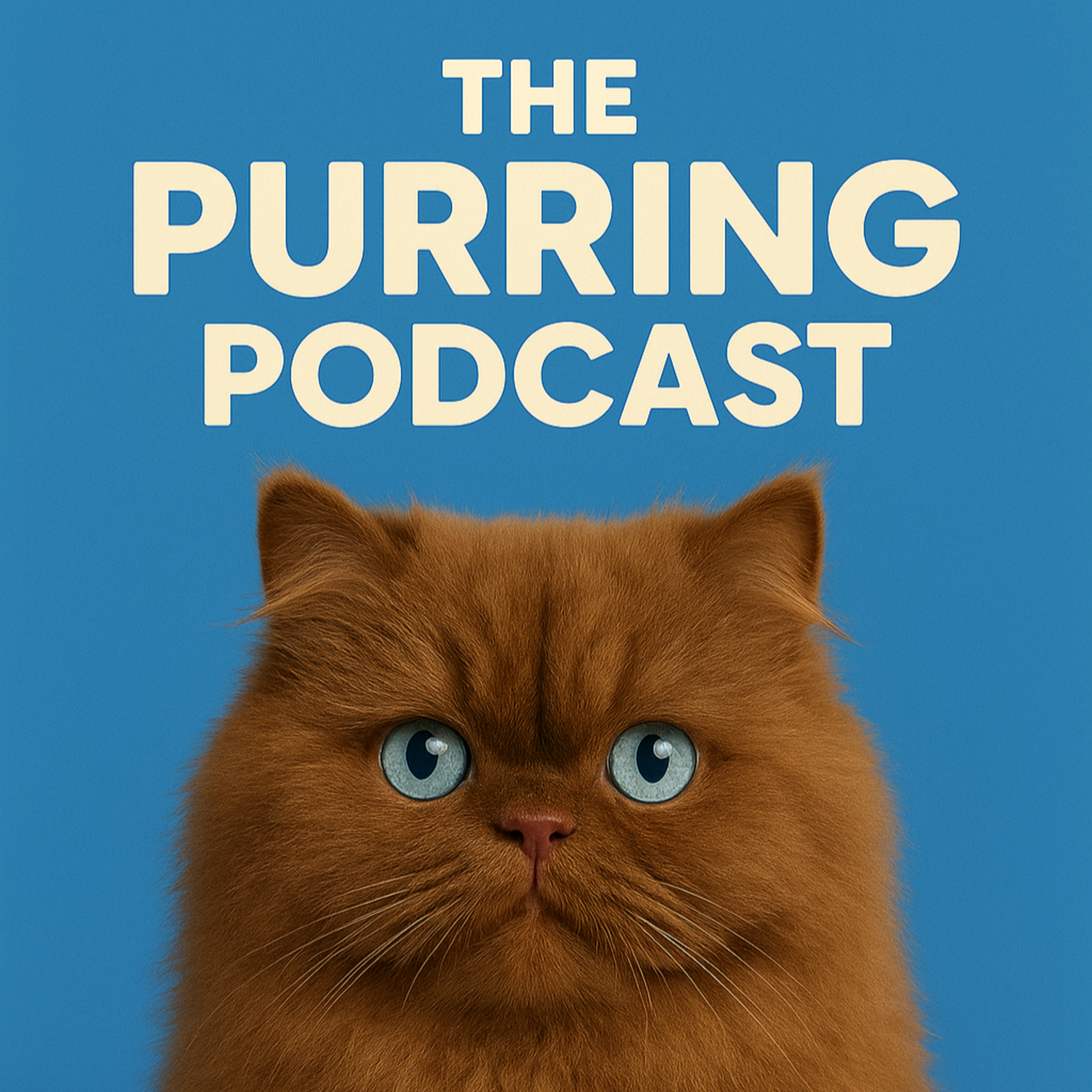 The Purring Podcast (200 episodes of purring)