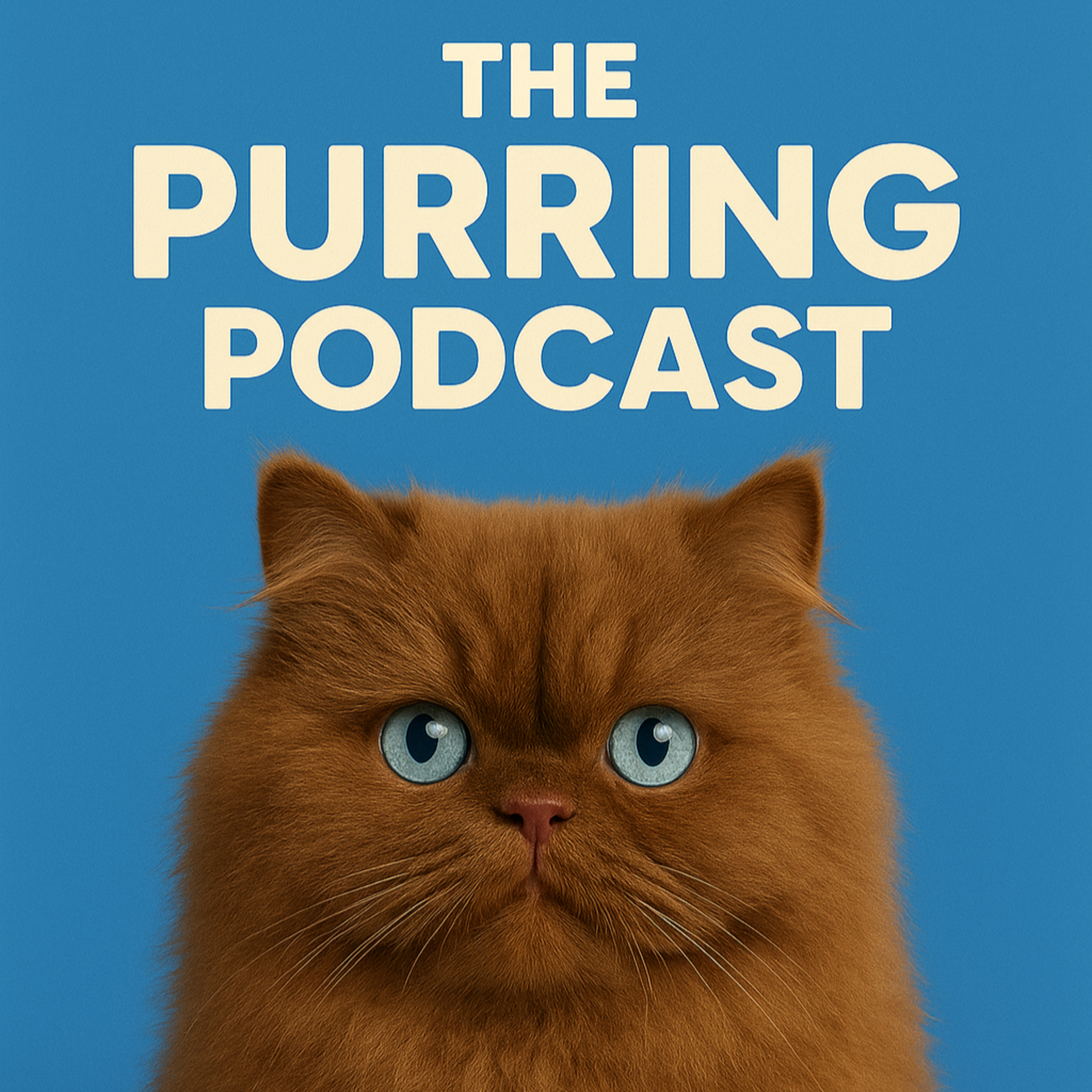 The Purring Podcast (200 episodes of purring)
