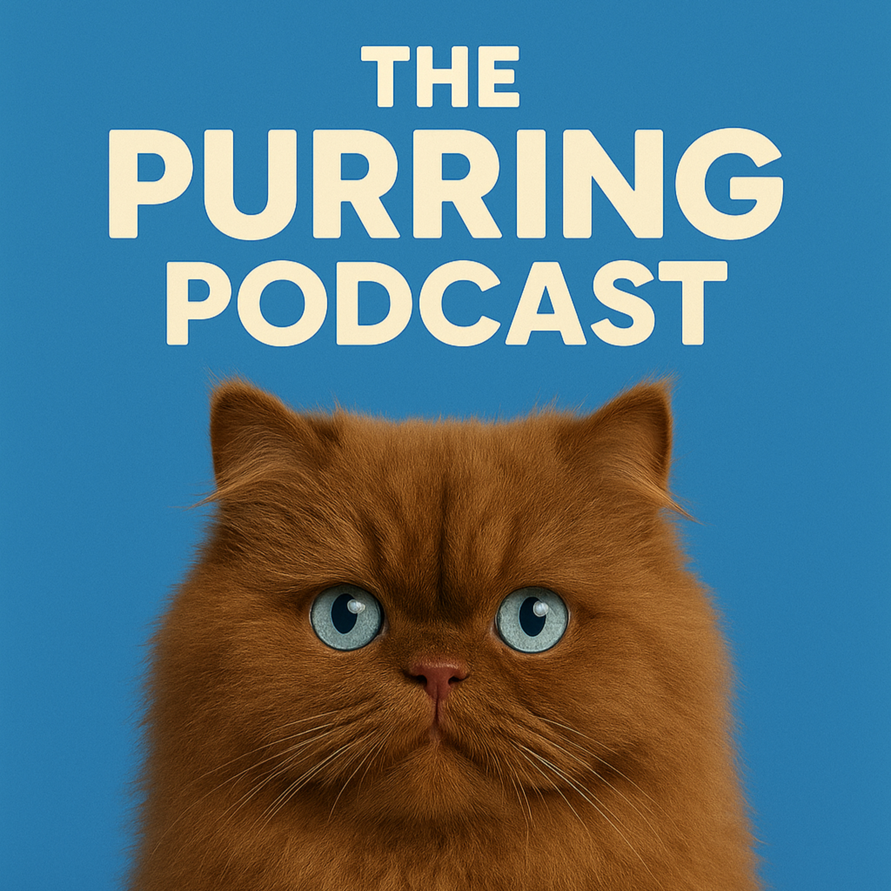 The Purring Podcast (200 episodes of purring)