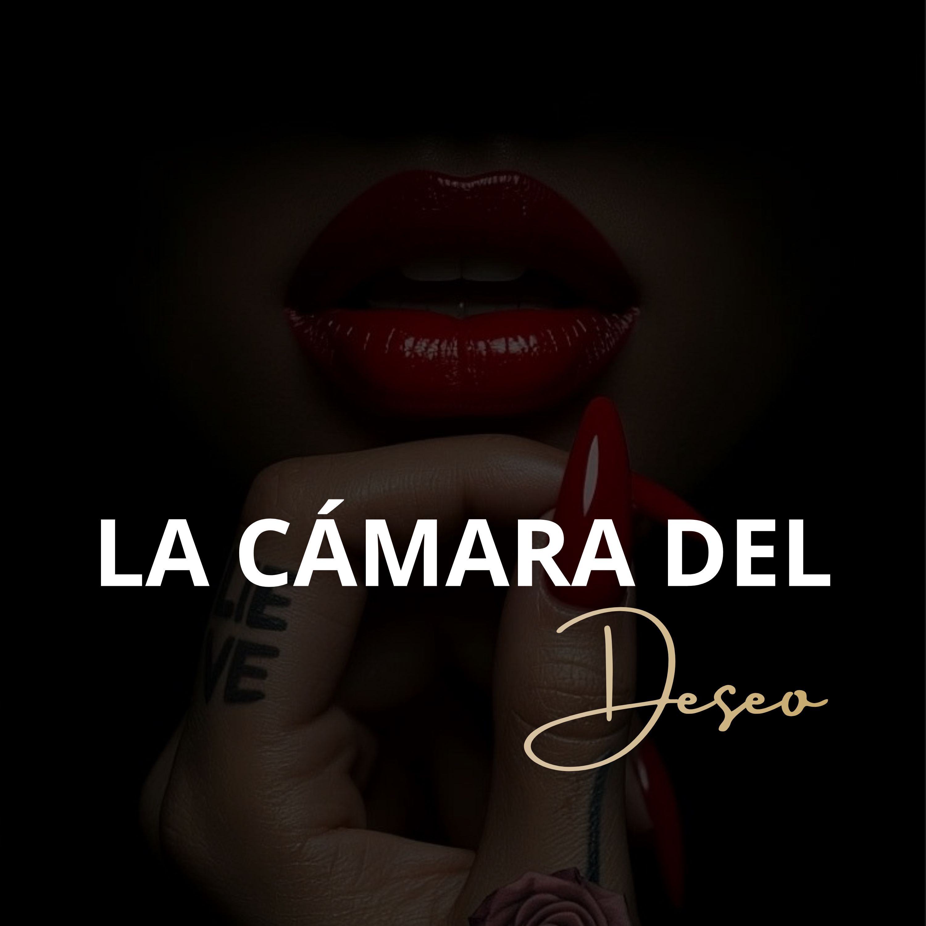 La tensión que enciende el deseo antes del primer toque | La Cámara del Deseo