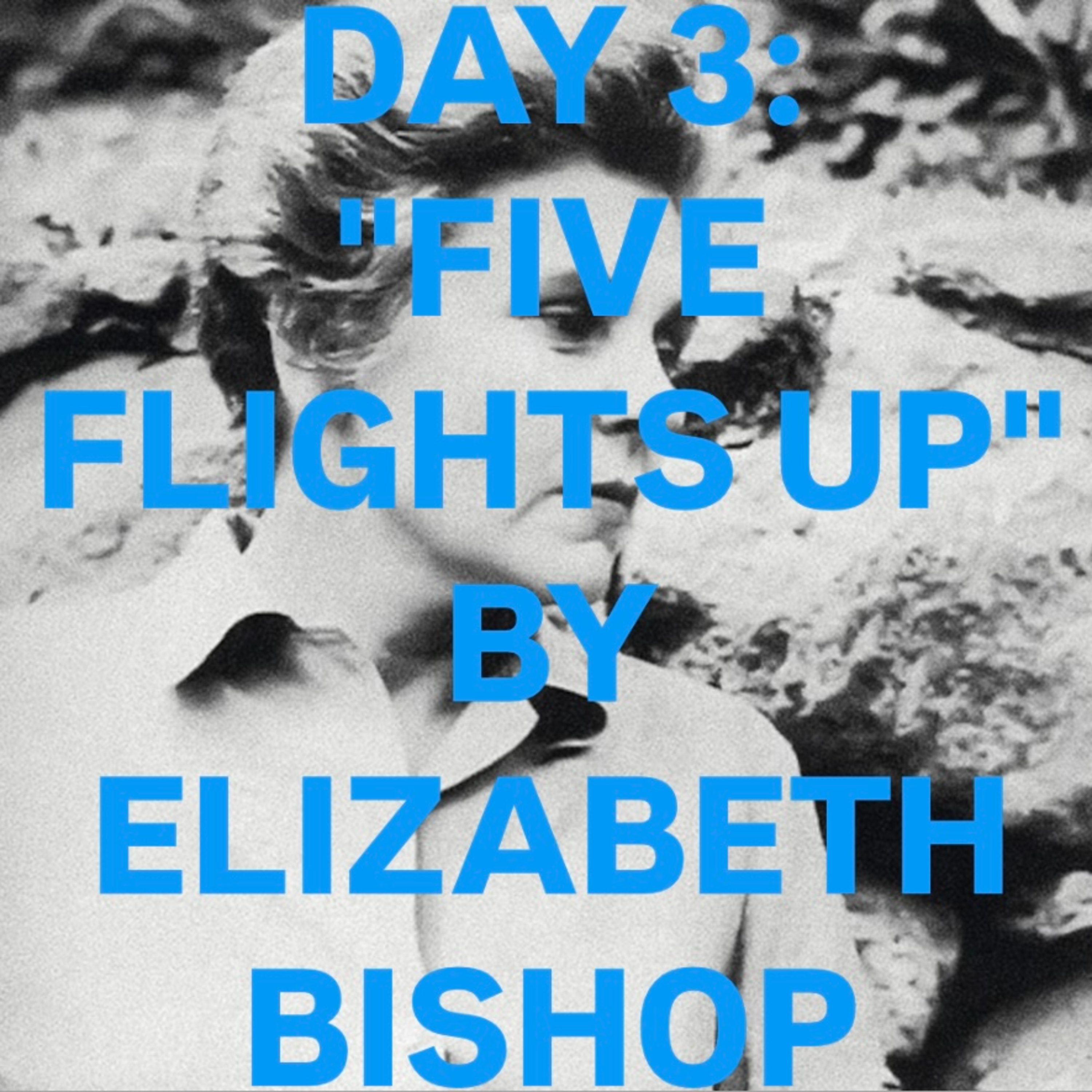 "Five Flights Up" by Elizabeth Bishop episode artwork