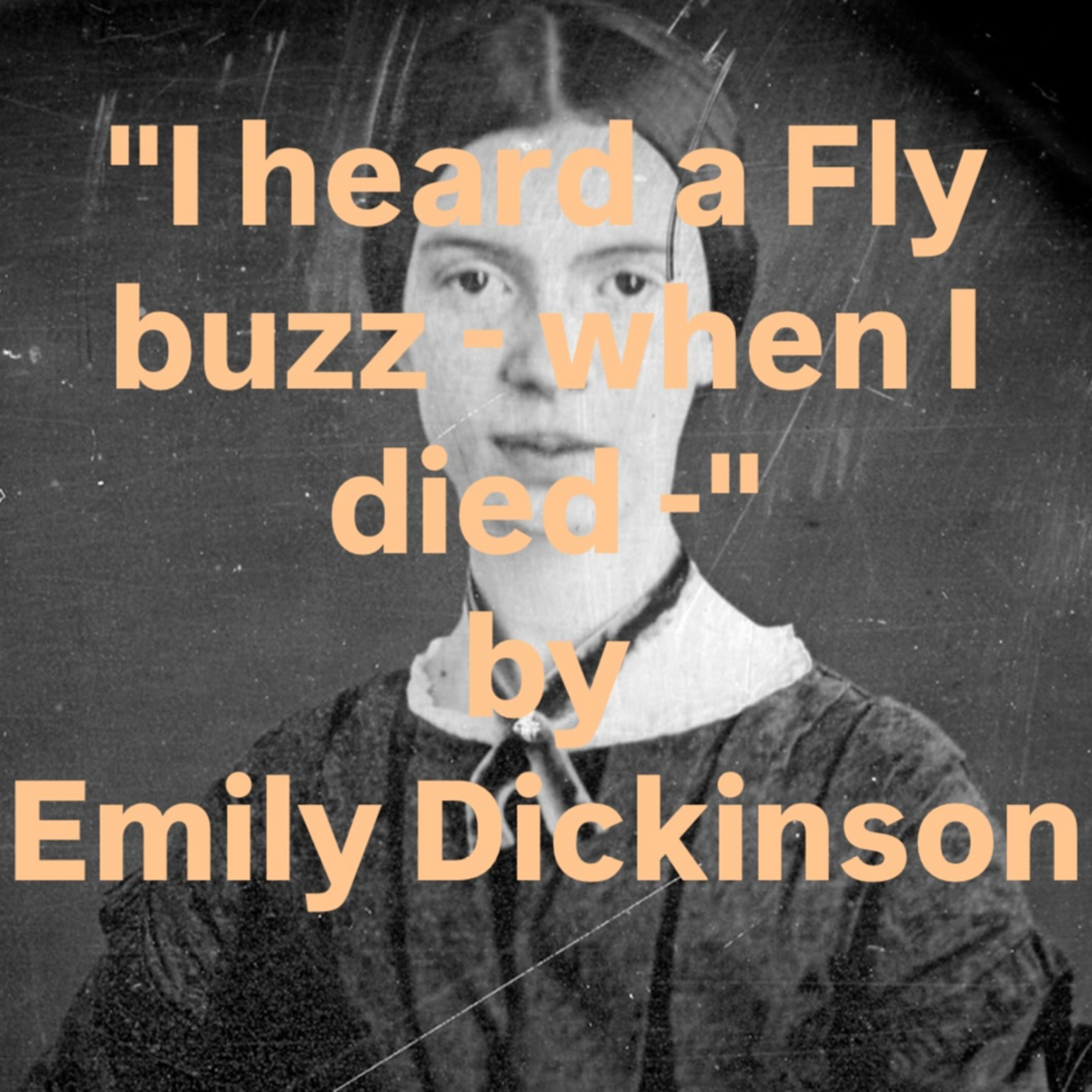 "I heard a Fly buzz - when I died -" by Emily Dickinson episode artwork