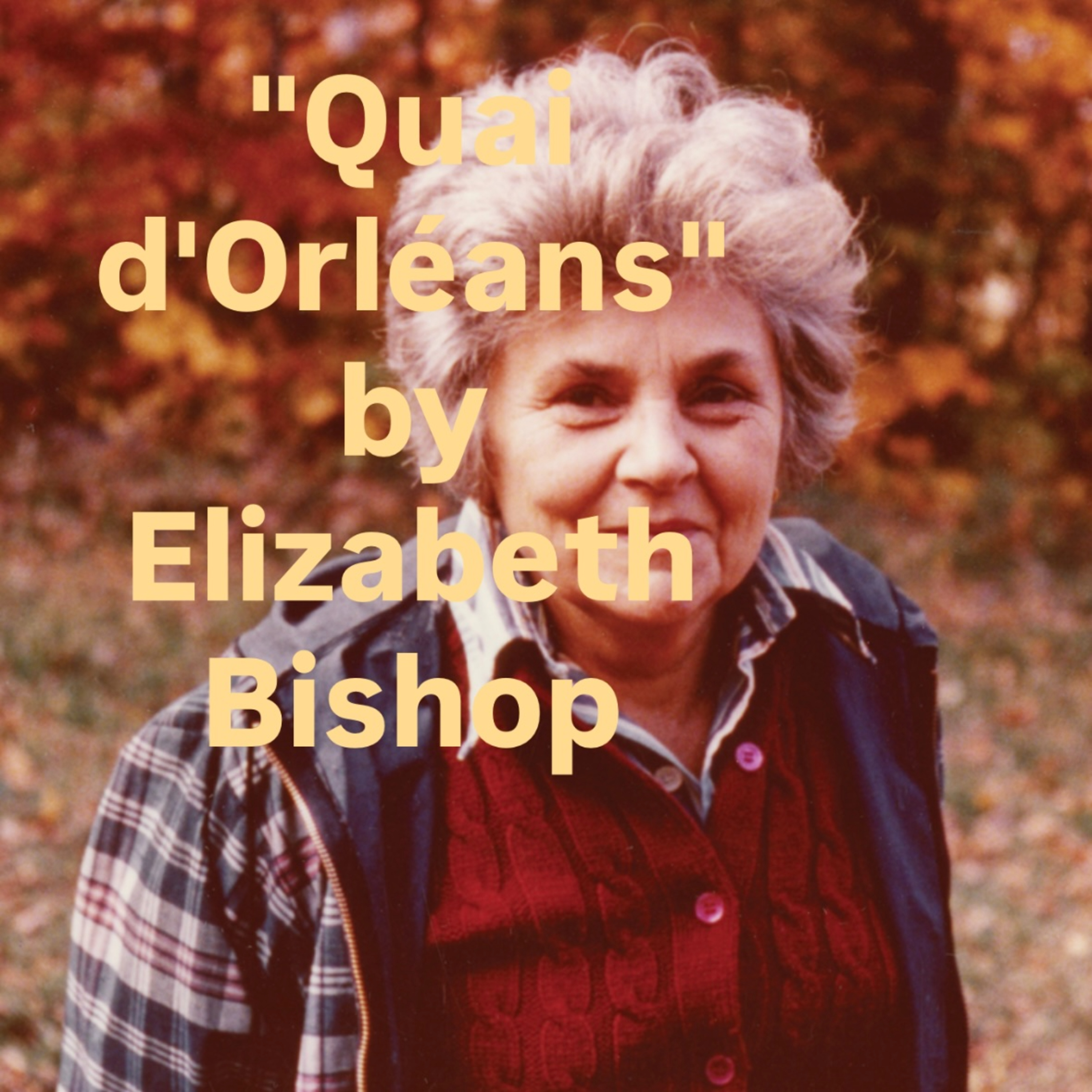 "Quai d'Orléans" by Elizabeth Bishop episode artwork