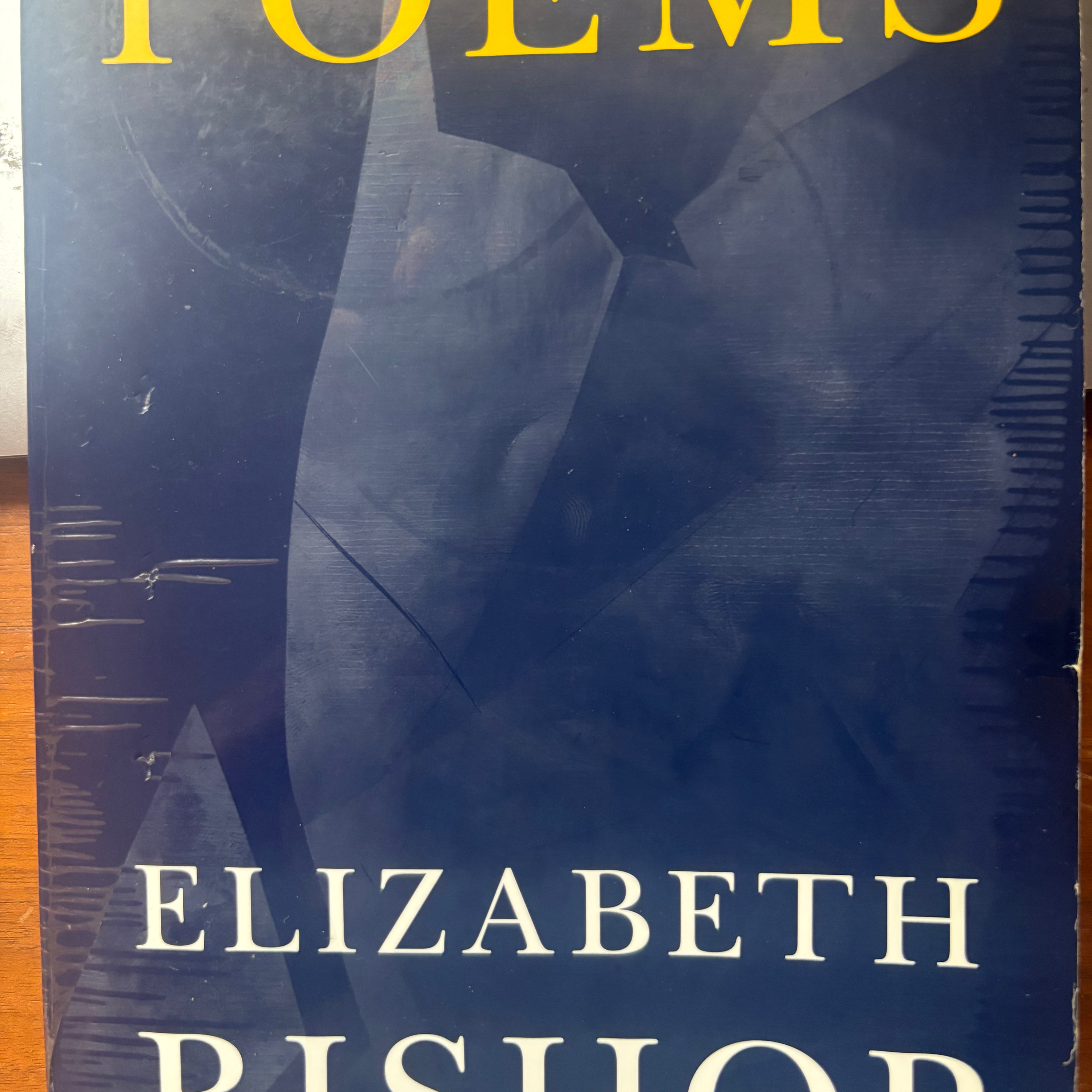 "In the Waiting Room" by Elizabeth Bishop episode artwork