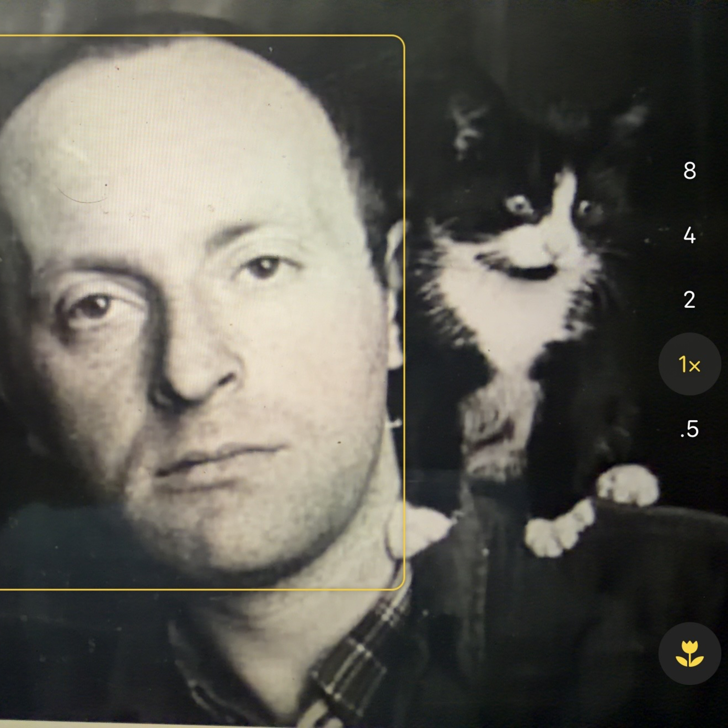 "Constancy" by Joseph Brodsky episode artwork