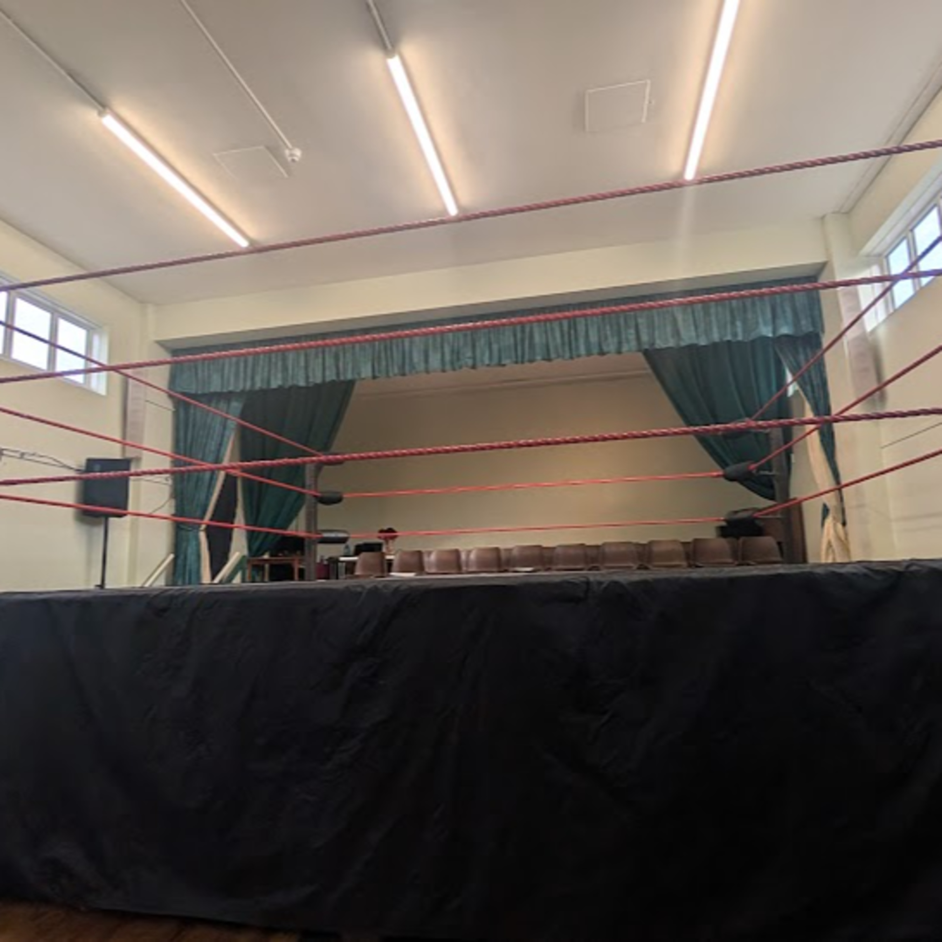 Bradders Grappers #41 - Take it to the Bridge for Bridge Pro Wrestling: EXILED episode artwork
