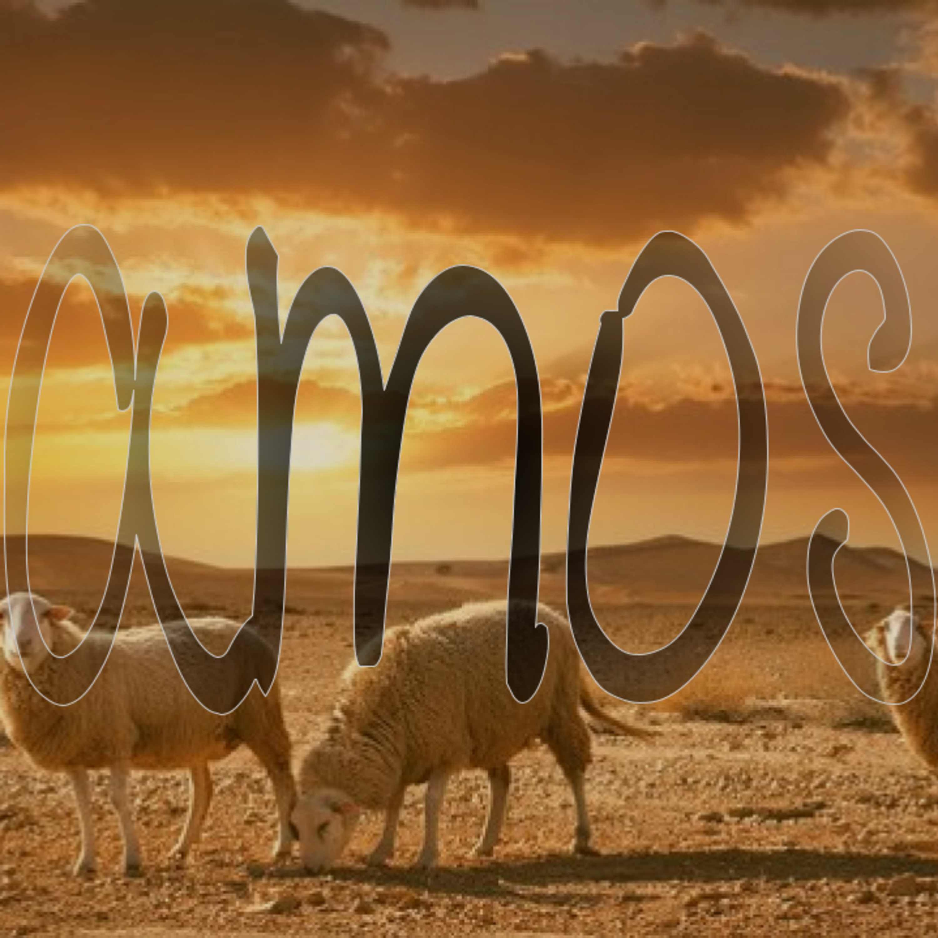 Matt Harmless Sermons