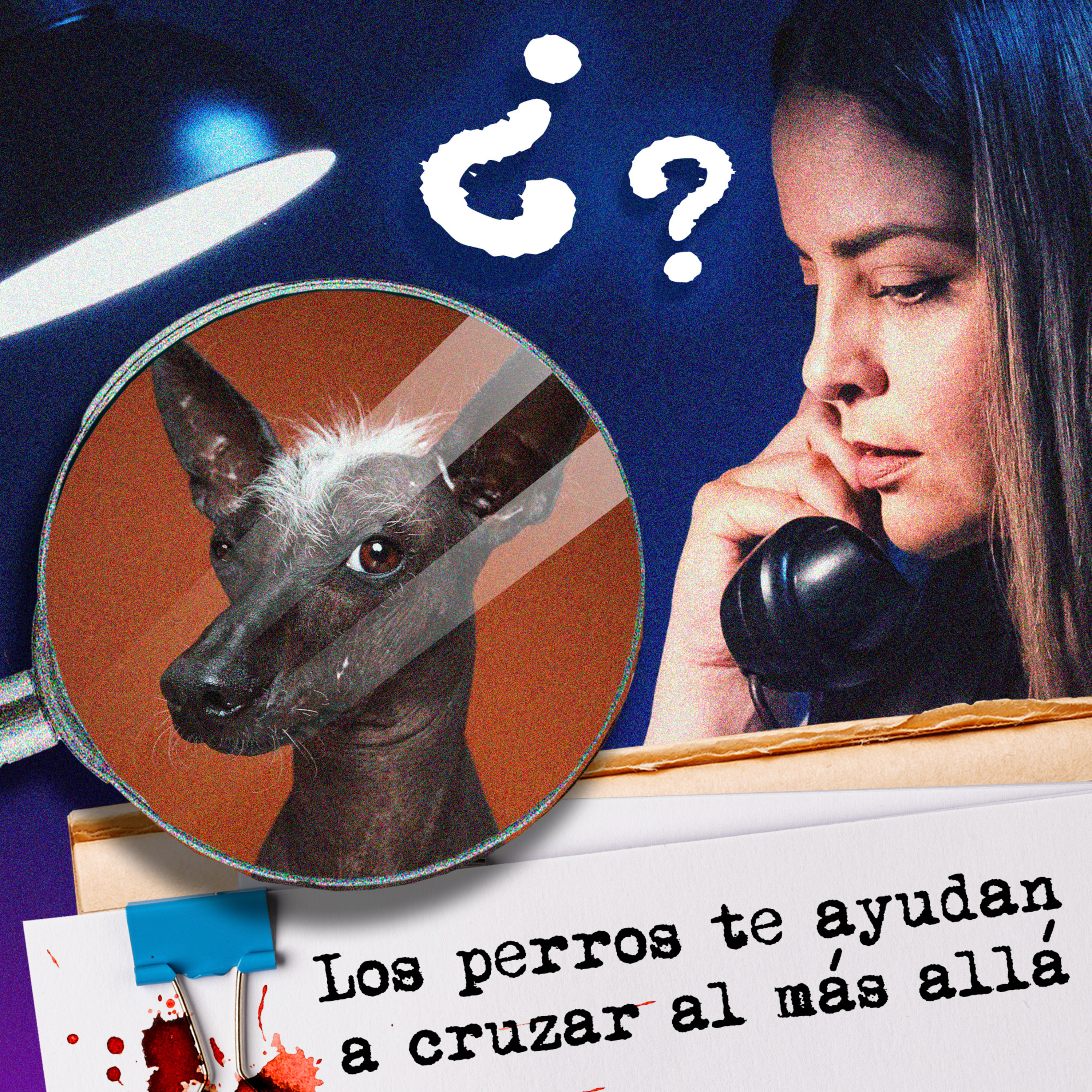 ¿Los perros te acompañan al más allá? YMELD EP. 24 episode artwork