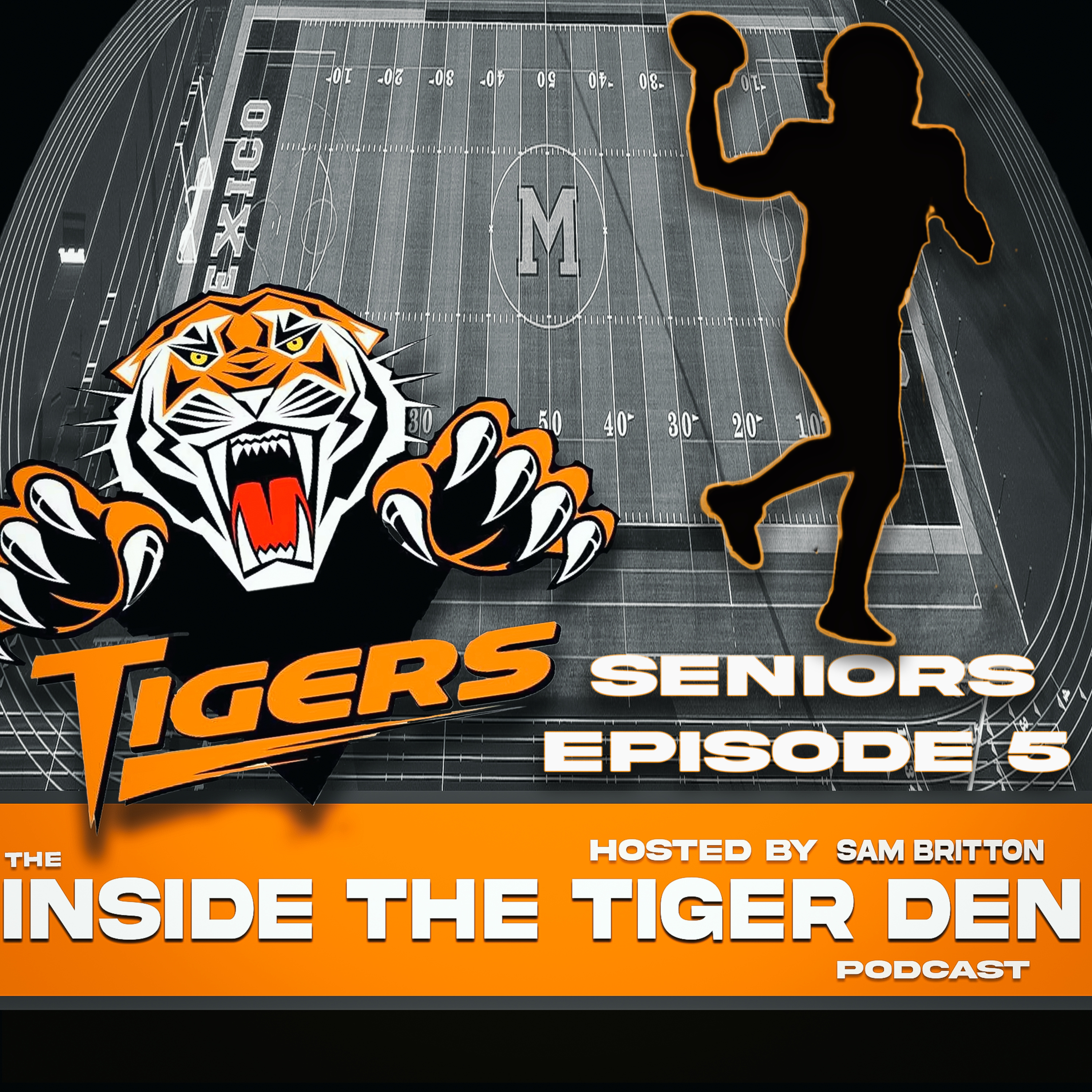 Inside The Tiger Den