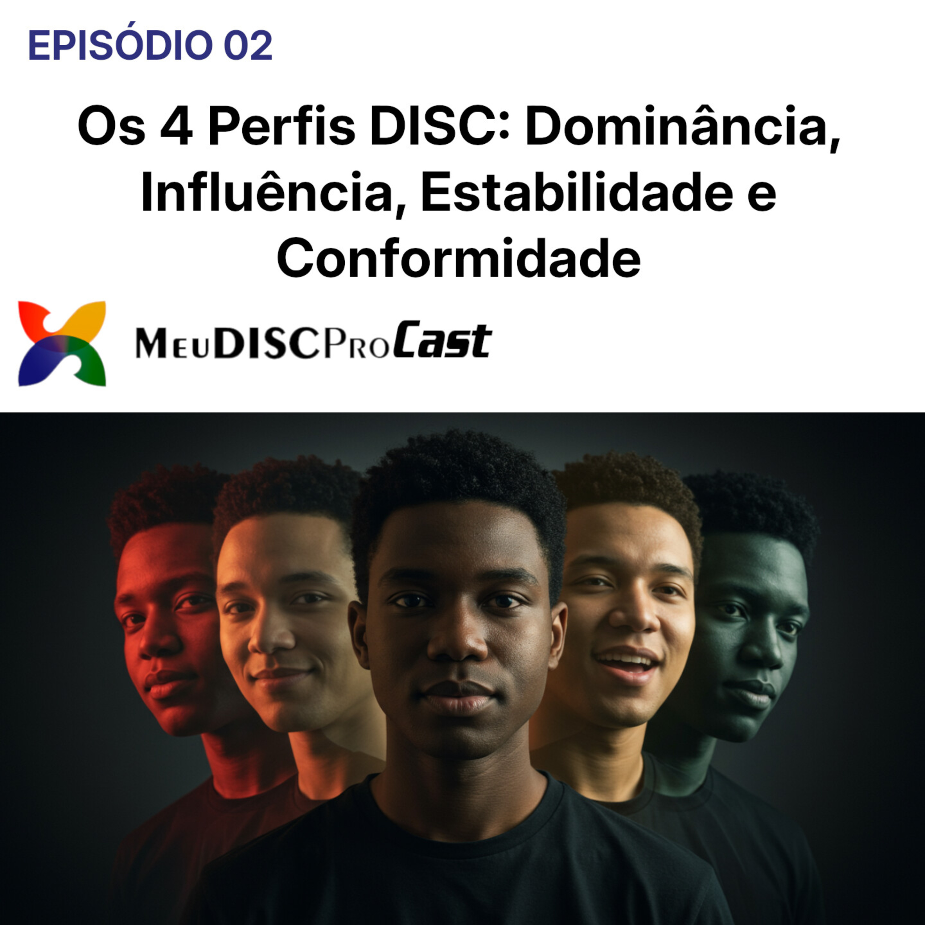 Os 4 Perfis DISC: Dominância, Influência, Estabilidade e Conformidade - Meu Disc Pró Cast episode artwork