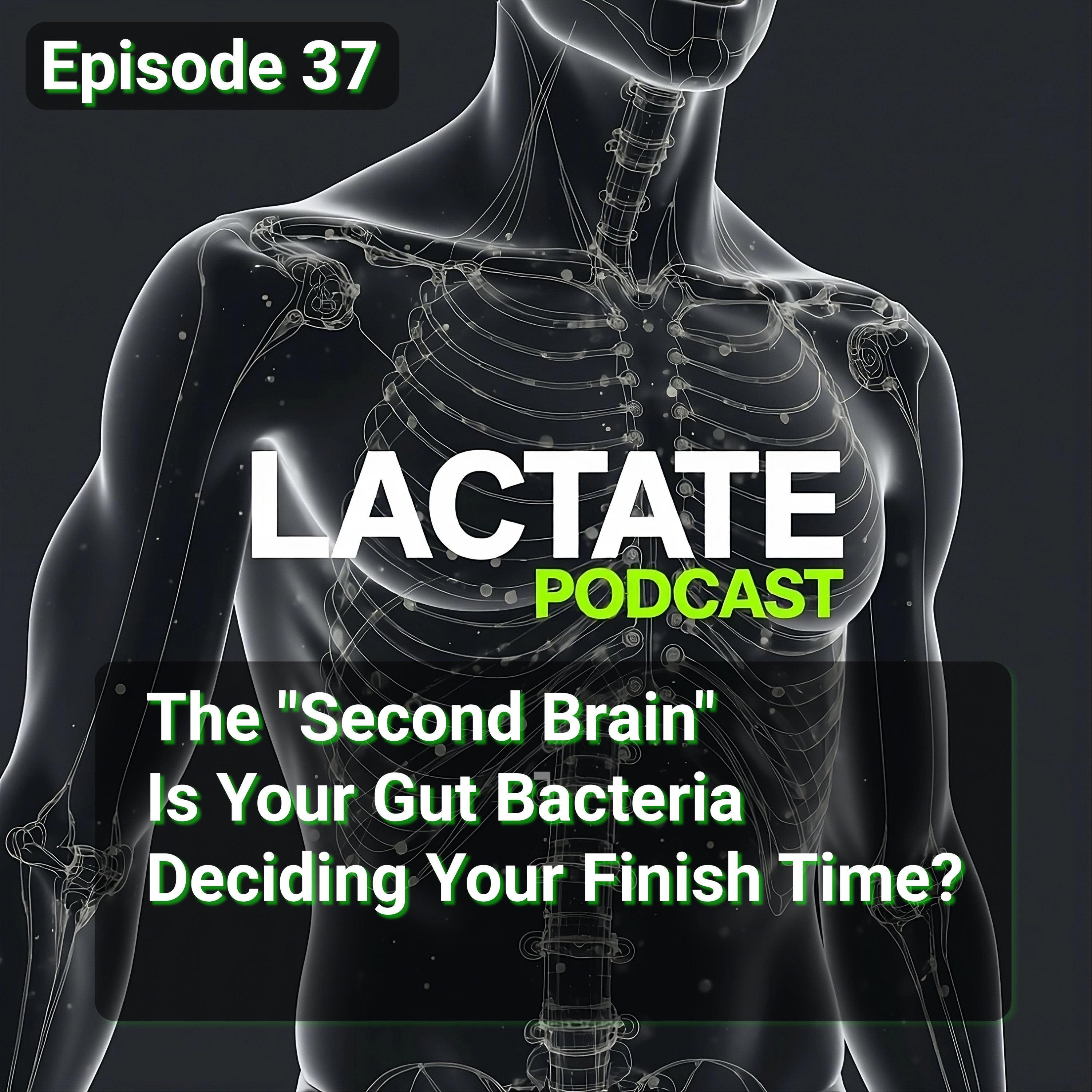 Episode 37 : The "Second Brain": Is Your Gut Bacteria Deciding Your Finish Time? 🧠 episode artwork