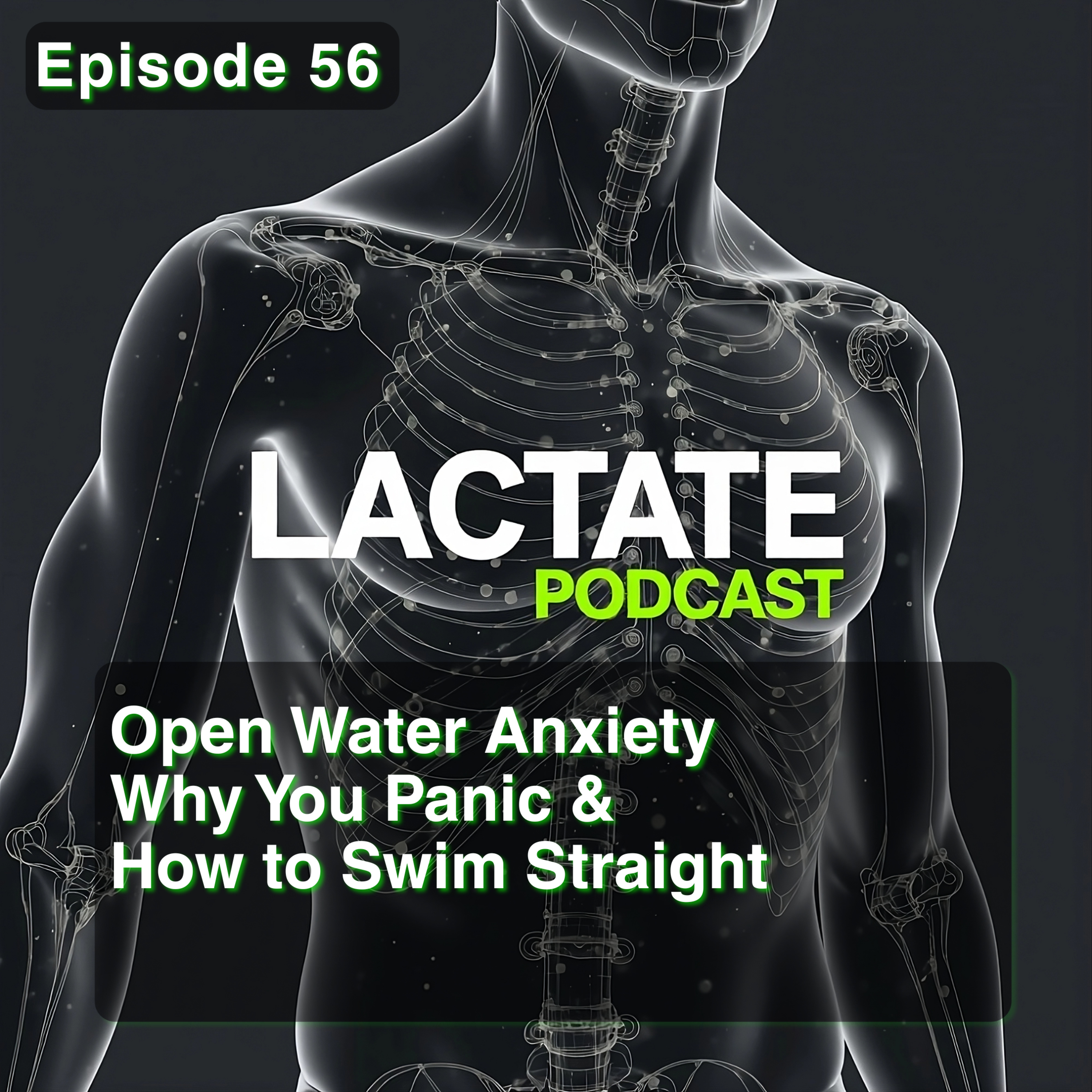 Episode 56 : Open Water Anxiety Why You Panic & How to Swim Straight 🌊 episode artwork