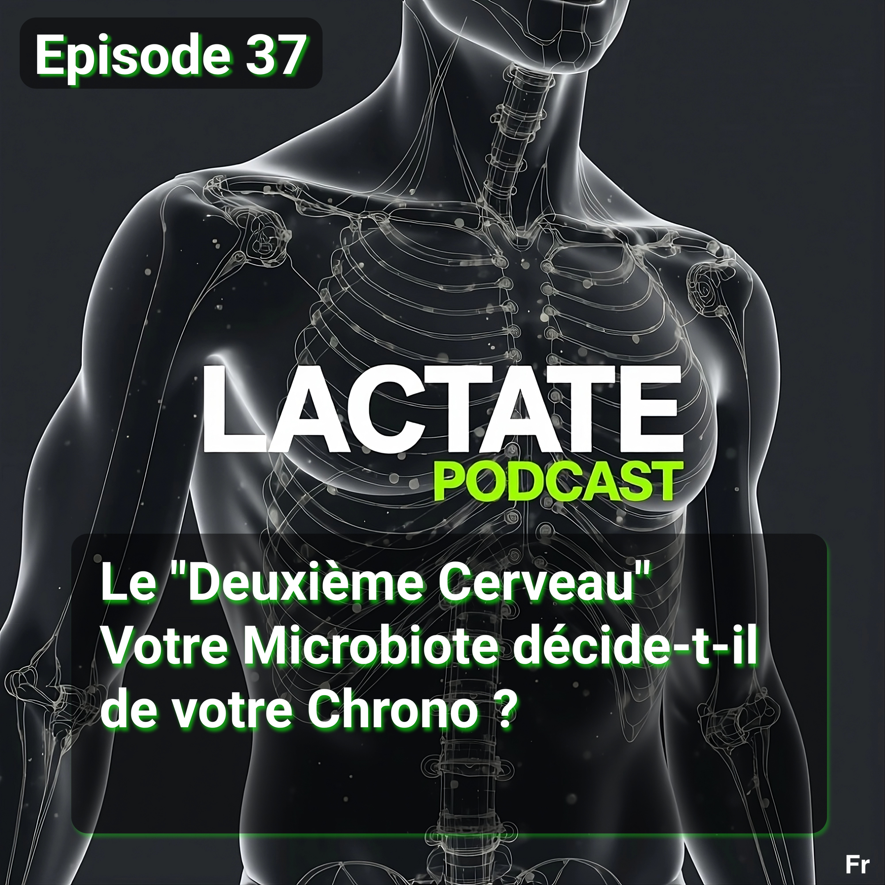 Épisode 37 : Le "Deuxième Cerveau" Votre Microbiote décide-t-il de votre Chrono ? 🧠 episode artwork