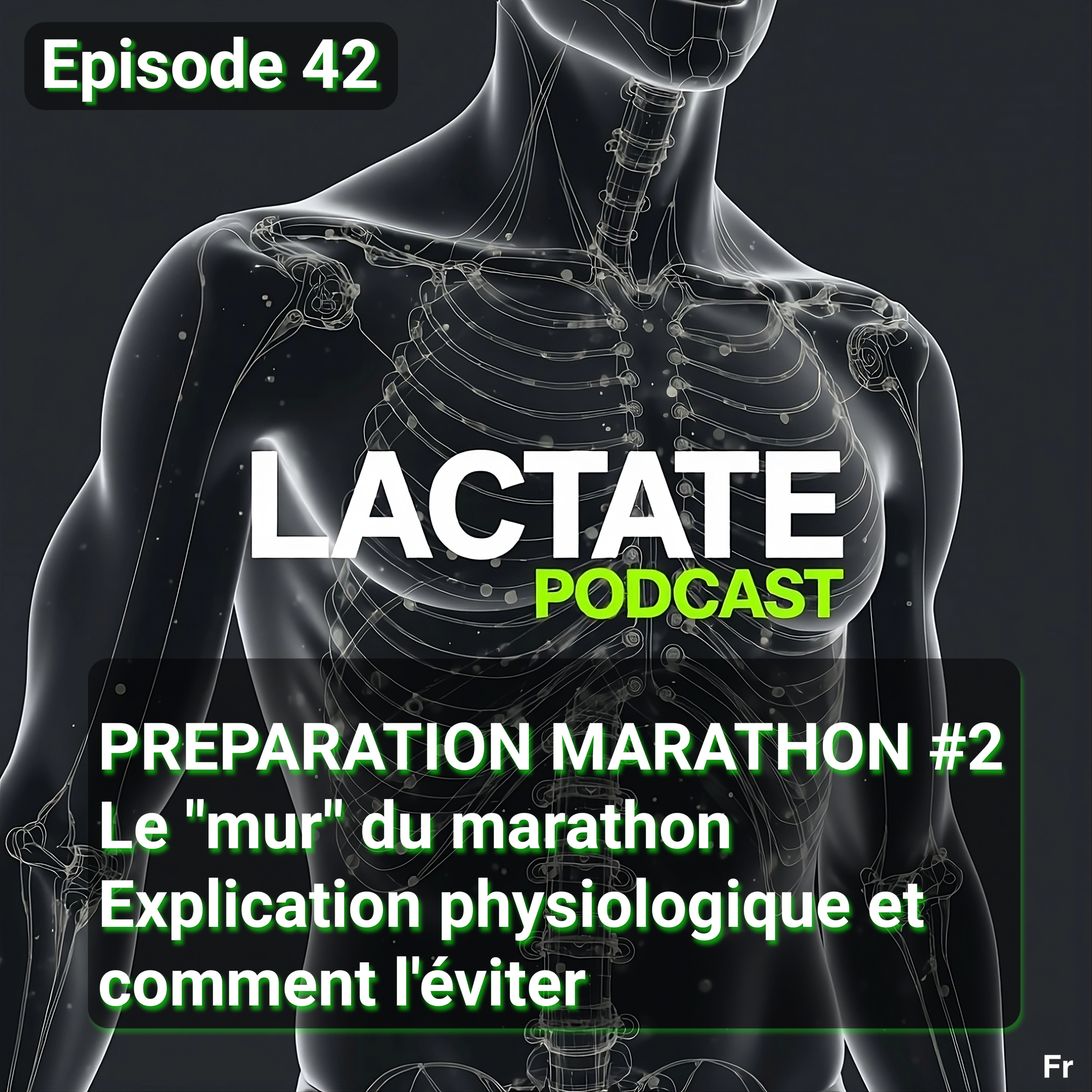 Épisode 42 : PREPARATION MARATHON #1 Le "mur" du marathon Explication physiologique et comment l'éviter 🧱 episode artwork