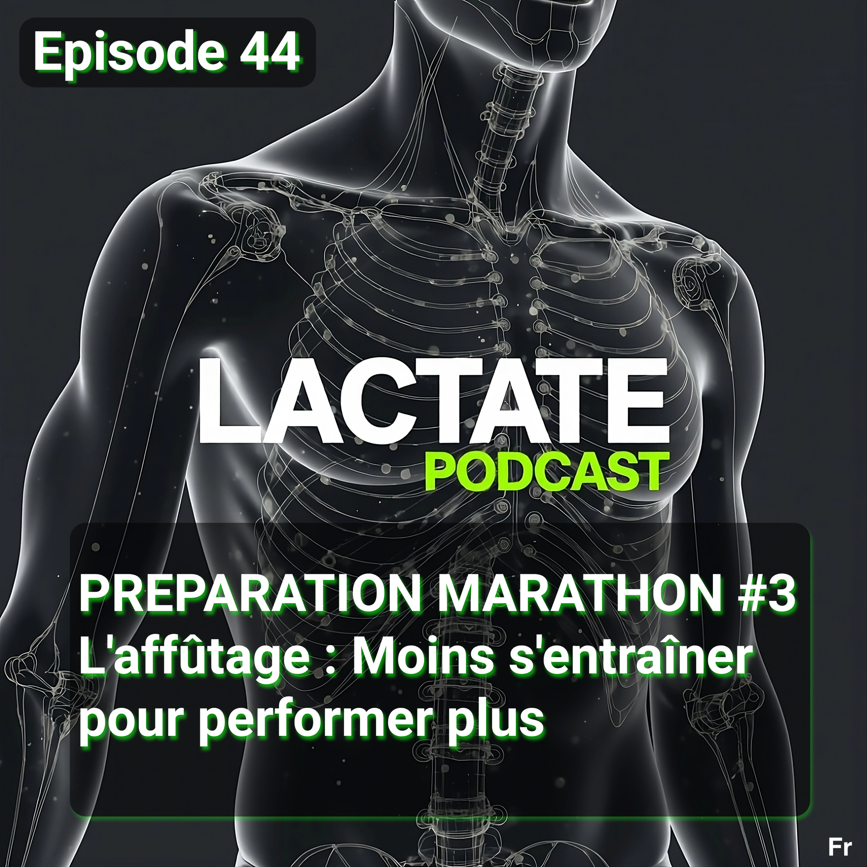 Épisode 44 : PREPARATION MARATHON #1 L'affûtage Moins s'entraîner pour performer plus 📉 episode artwork
