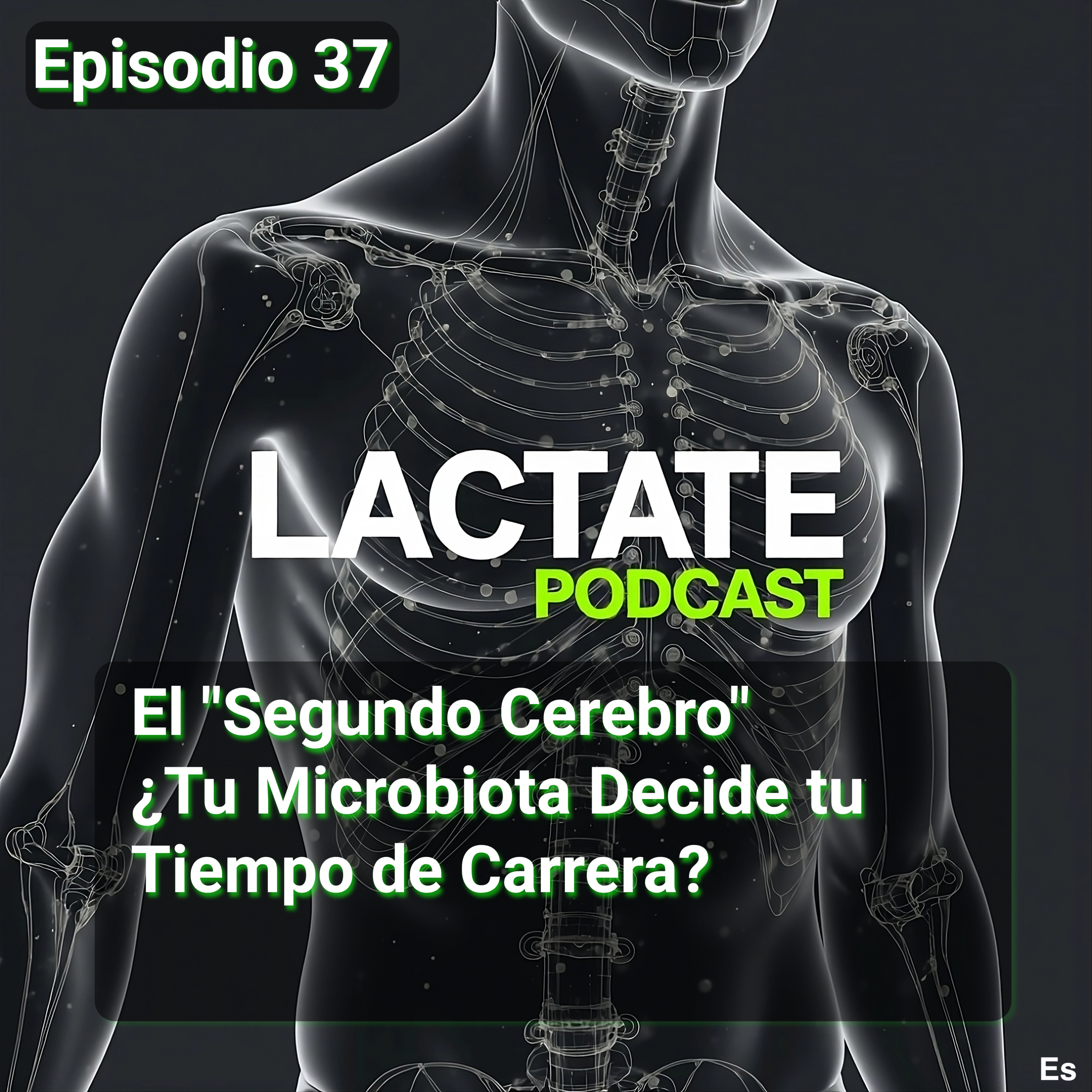 Episodio 37 : El "Segundo Cerebro" ¿Tu Microbiota Decide tu Tiempo de Carrera? 🧠 episode artwork
