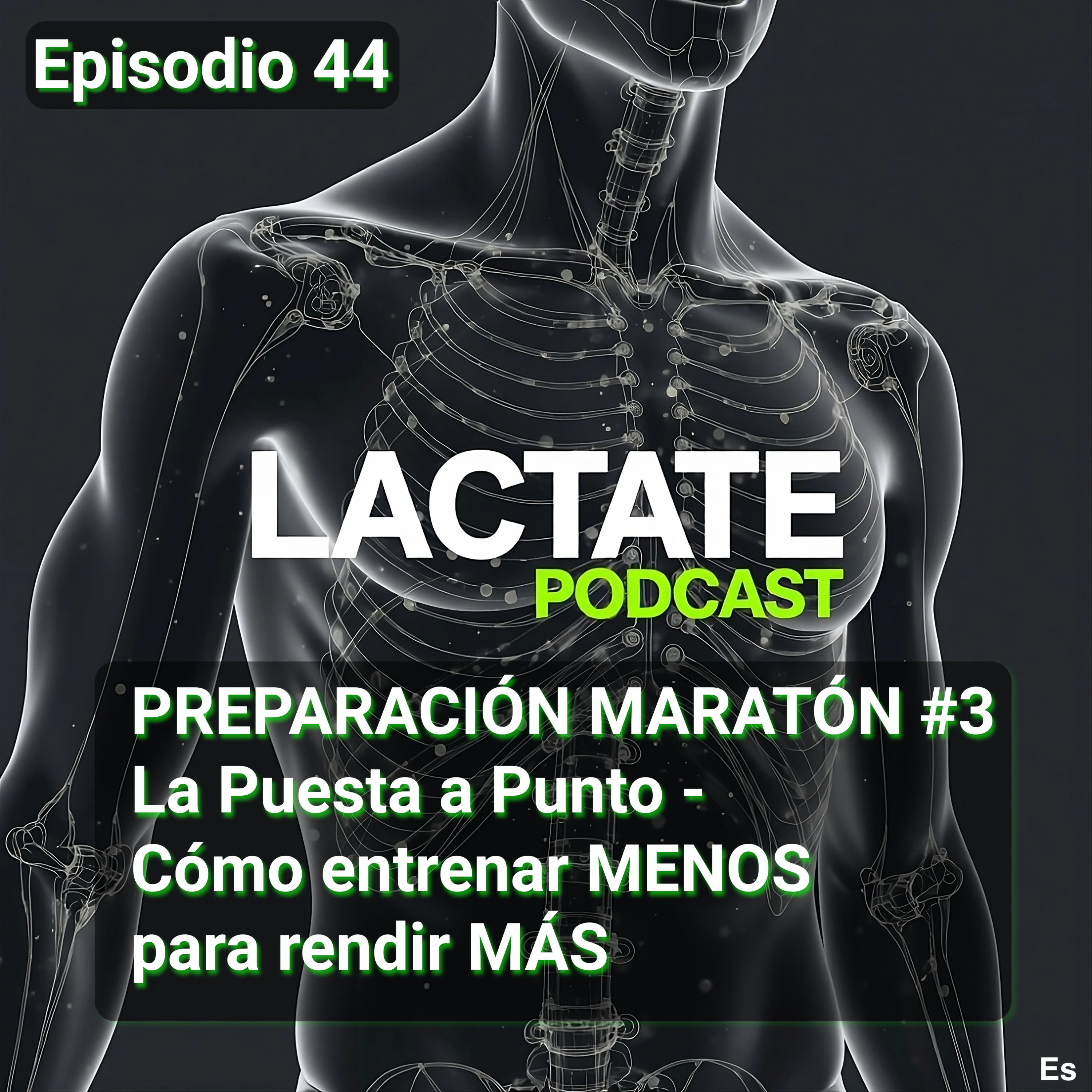 Episodio 44 : PREPARACIÓN MARATÓN #3 La Puesta a Punto - Cómo entrenar MENOS para rendir MÁS 📉 episode artwork